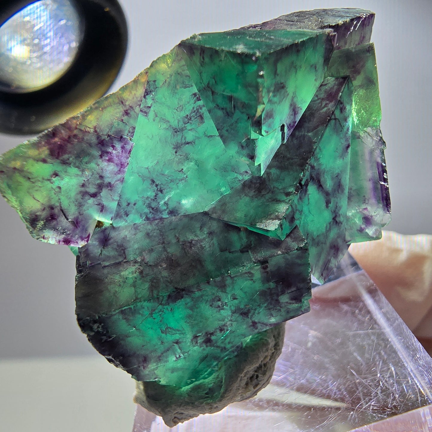 Spécimen rare de cube de fluorite, vert violet, Okorusu, Namibie, 40 x 31 x 17 mm