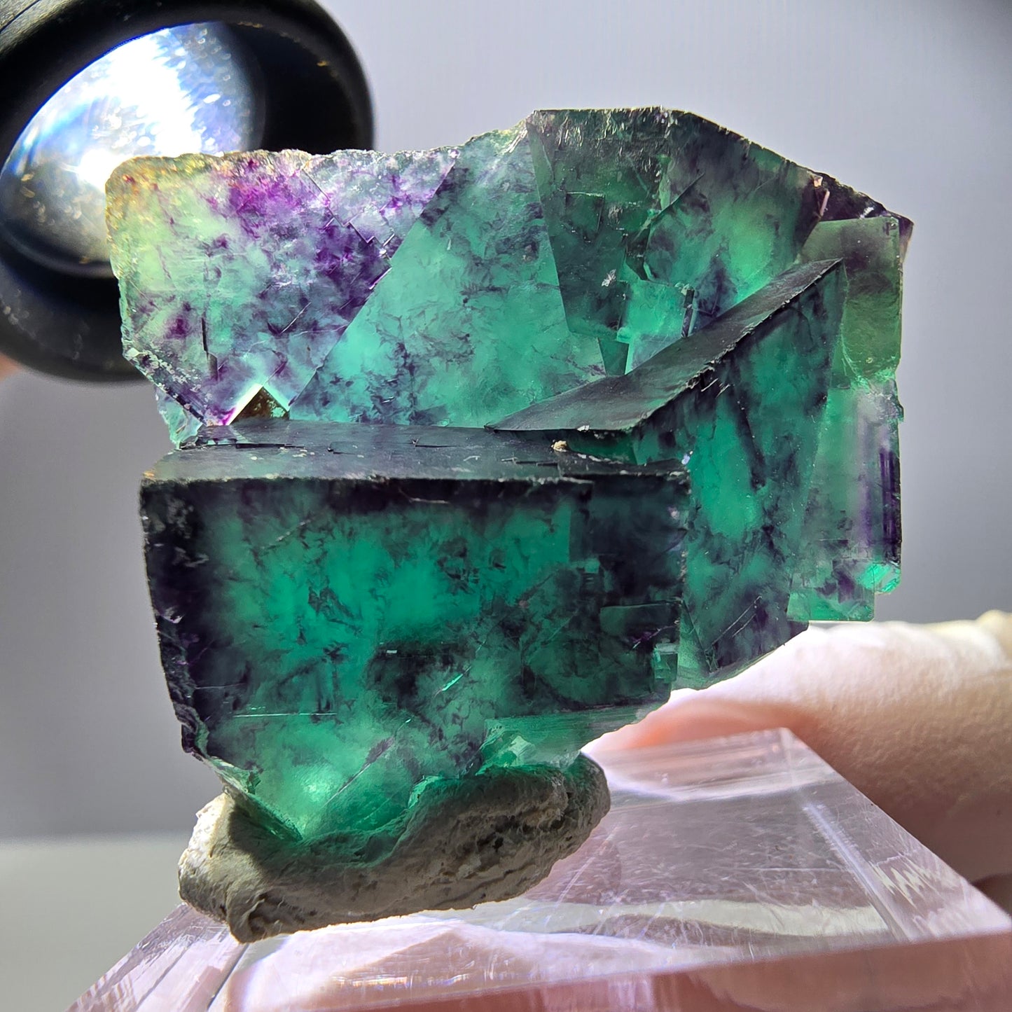 Spécimen rare de cube de fluorite, vert violet, Okorusu, Namibie, 40 x 31 x 17 mm
