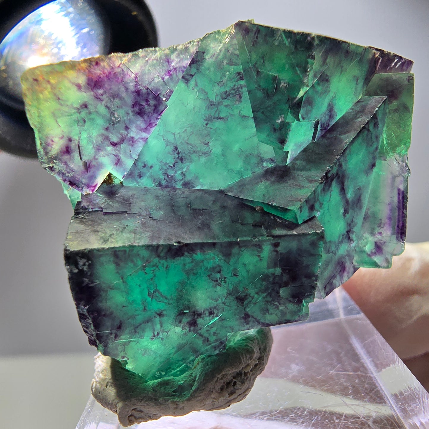 Spécimen rare de cube de fluorite, vert violet, Okorusu, Namibie, 40 x 31 x 17 mm