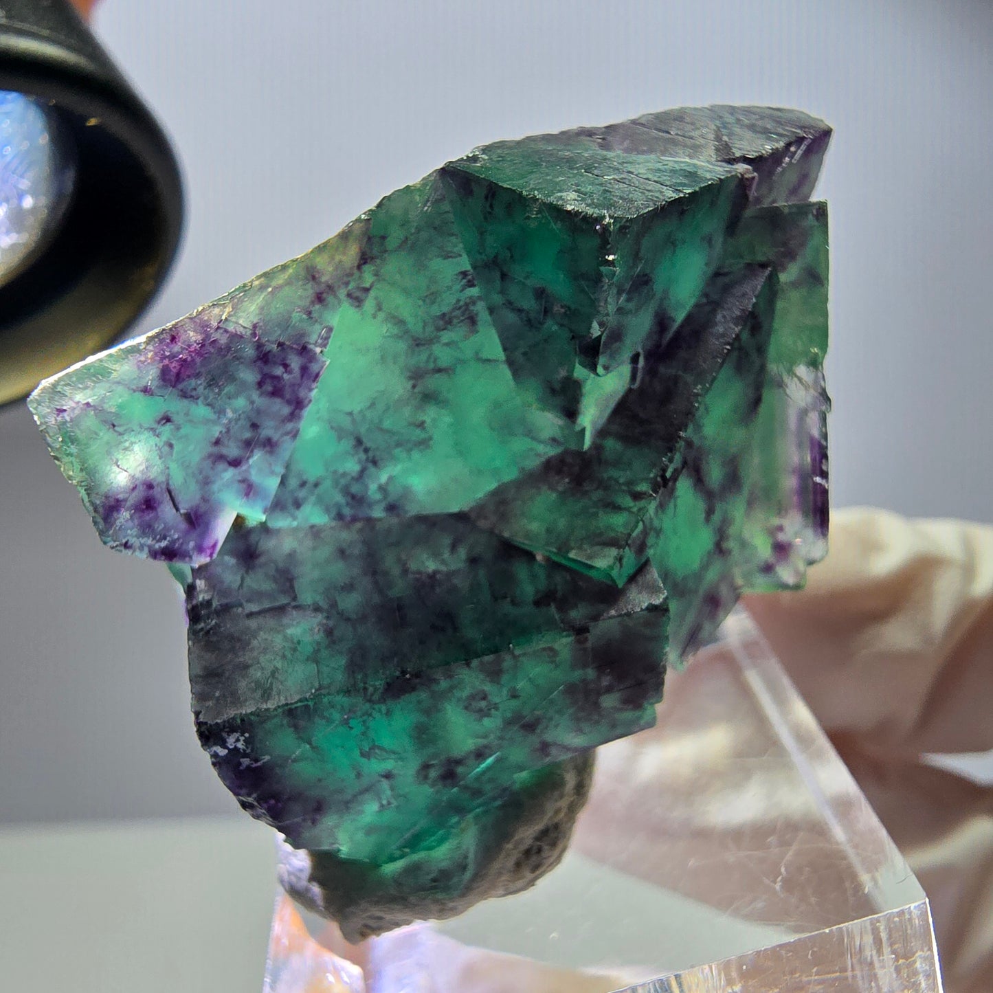 Spécimen rare de cube de fluorite, vert violet, Okorusu, Namibie, 40 x 31 x 17 mm