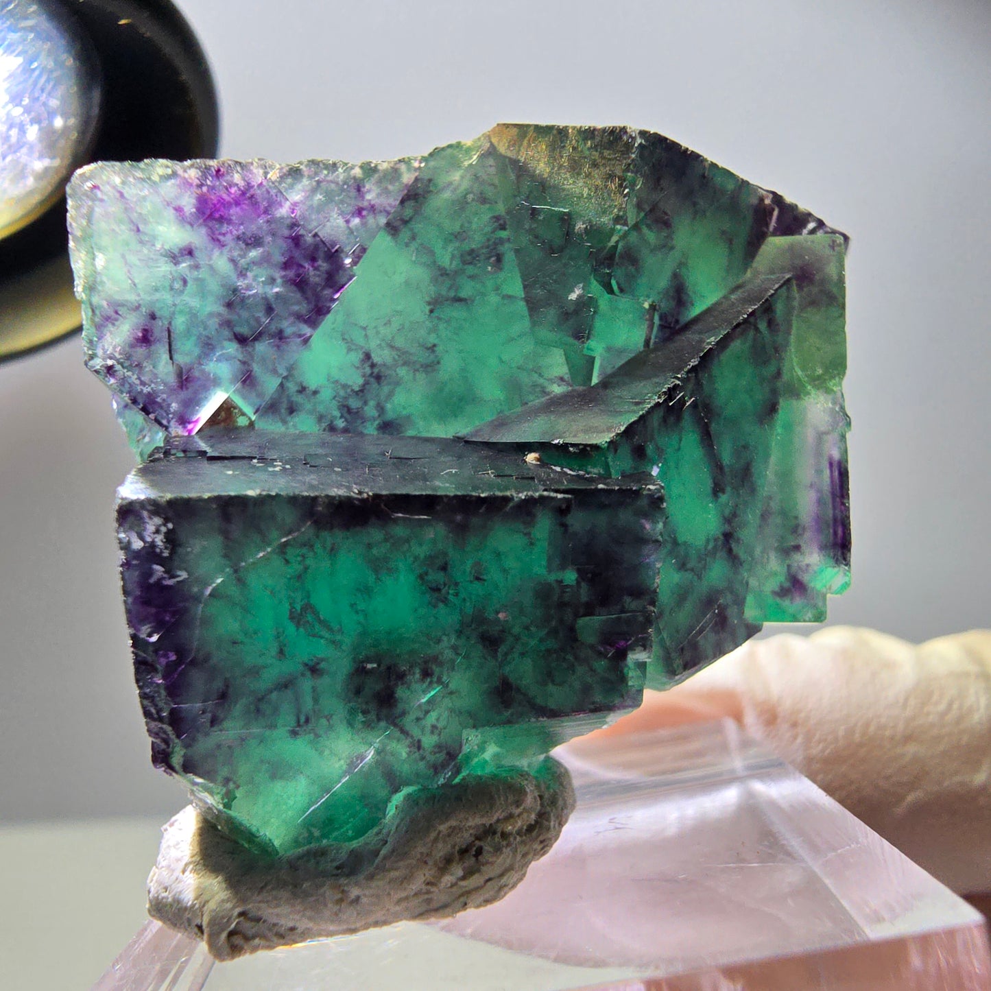 Spécimen rare de cube de fluorite, vert violet, Okorusu, Namibie, 40 x 31 x 17 mm