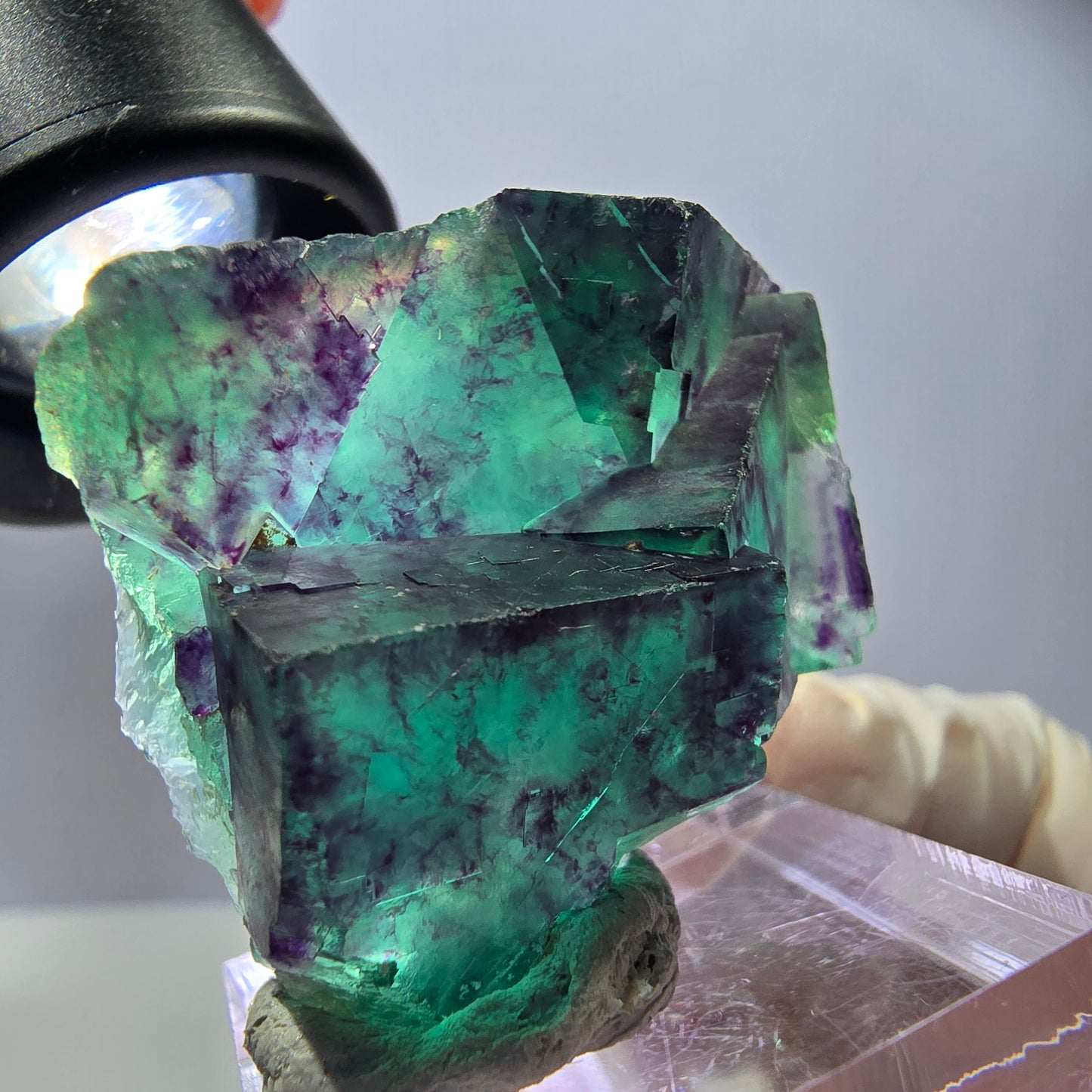 Spécimen rare de cube de fluorite, vert violet, Okorusu, Namibie, 40 x 31 x 17 mm
