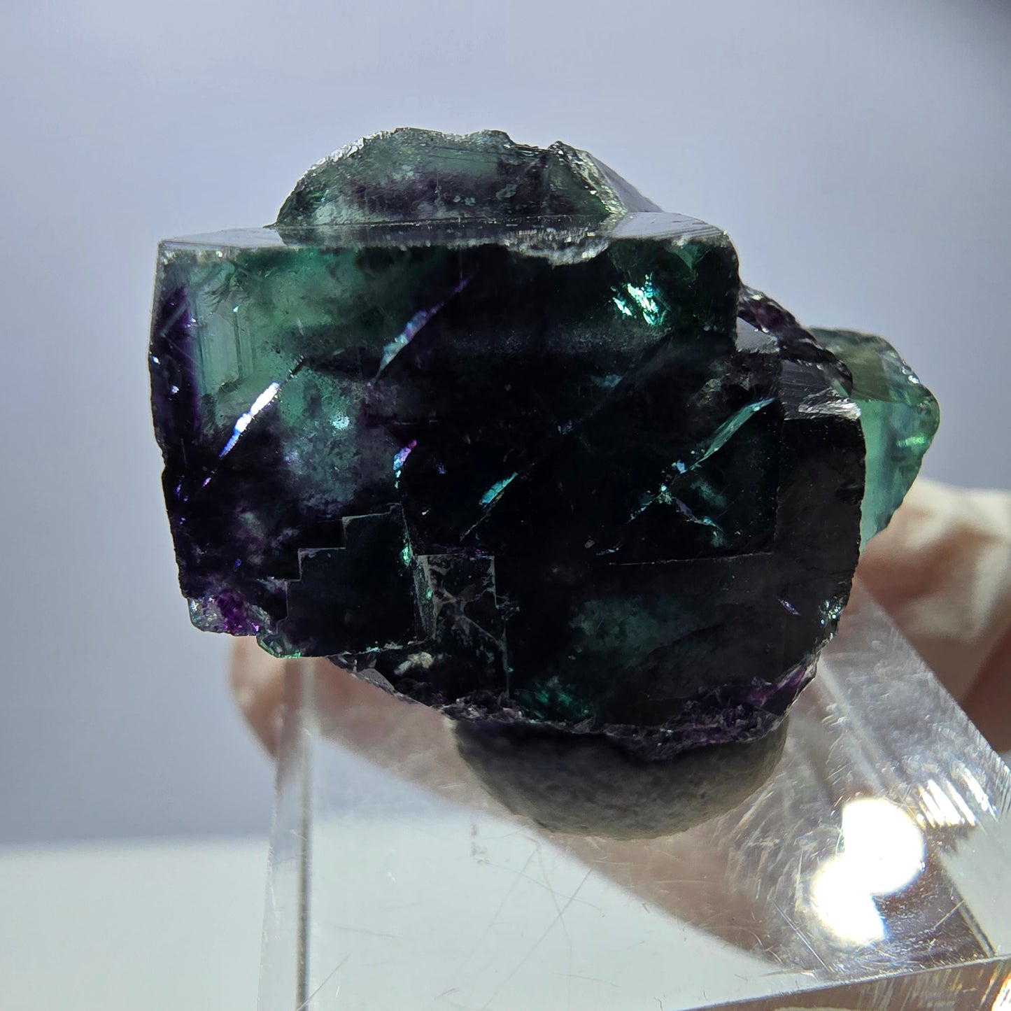 Spécimen rare de cube de fluorite, vert violet, Okorusu, Namibie, 30 x 24 x 17 mm