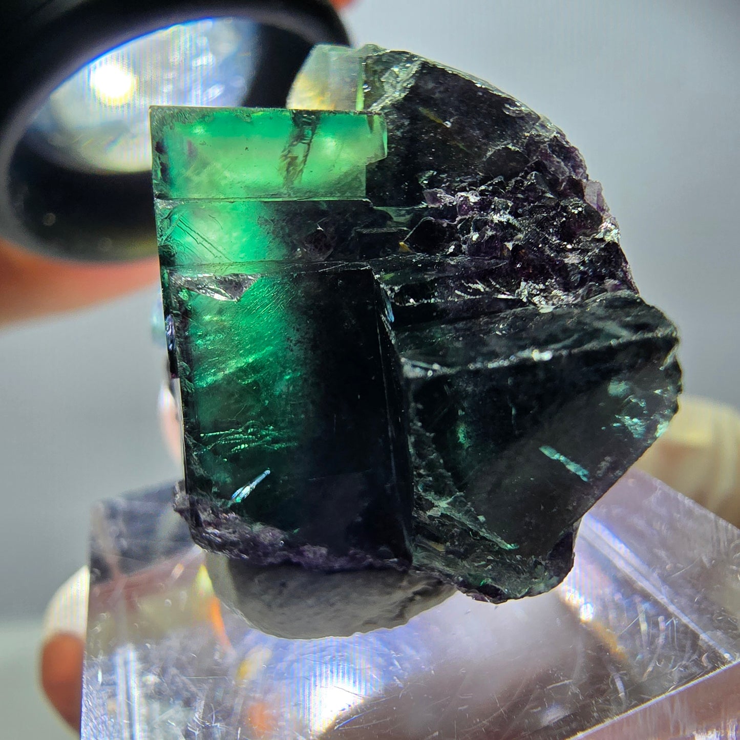 Spécimen rare de cube de fluorite, vert violet, Okorusu, Namibie, 30 x 24 x 17 mm