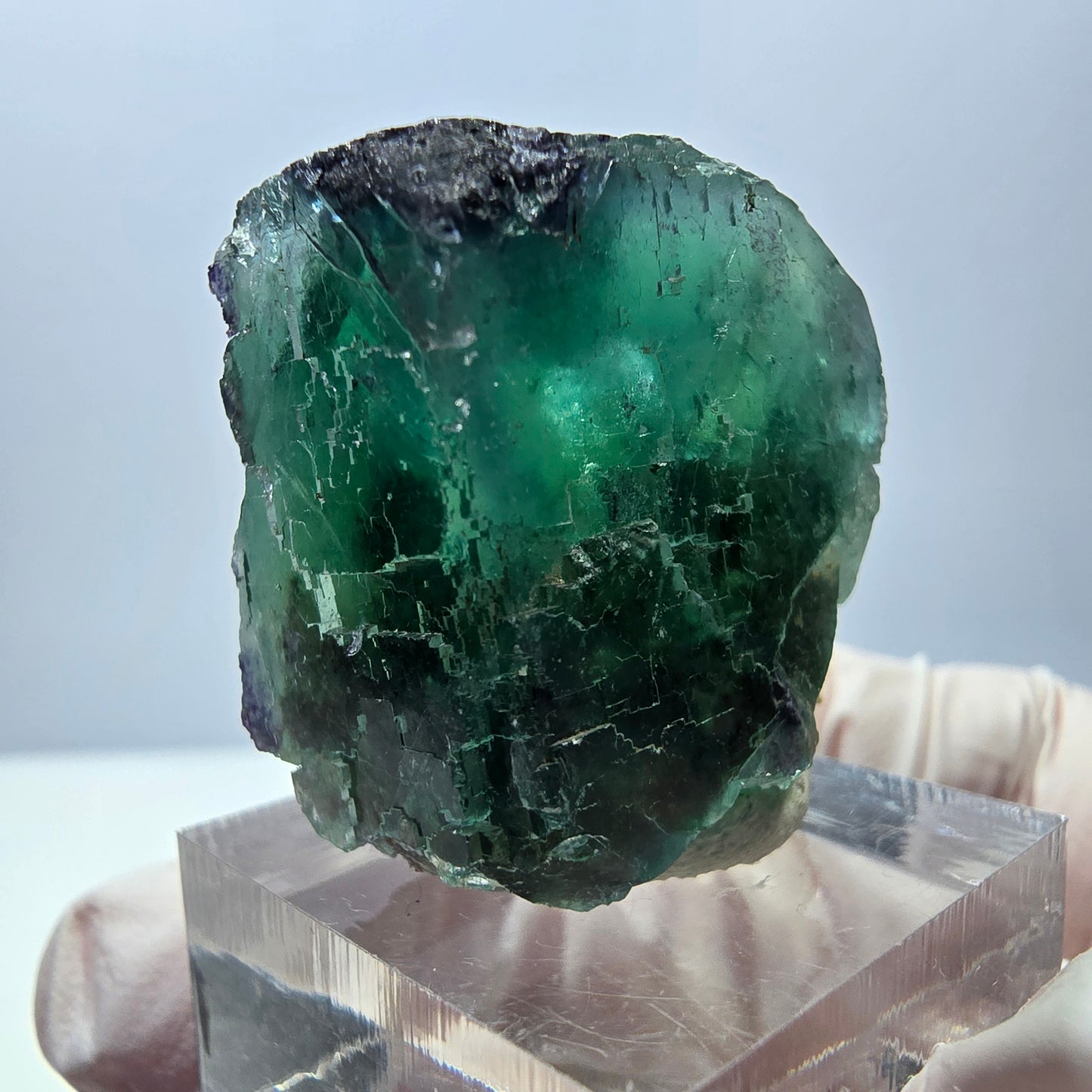 Seltene Fluorit Würfel Stufe, grün lila Okorusu, Namibia 32*28*19mm