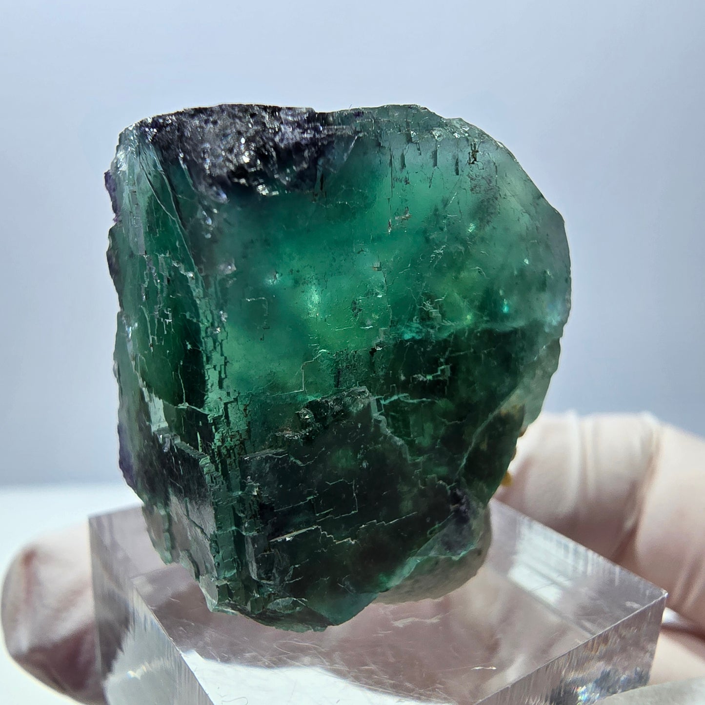 Seltene Fluorit Würfel Stufe, grün lila Okorusu, Namibia 32*28*19mm