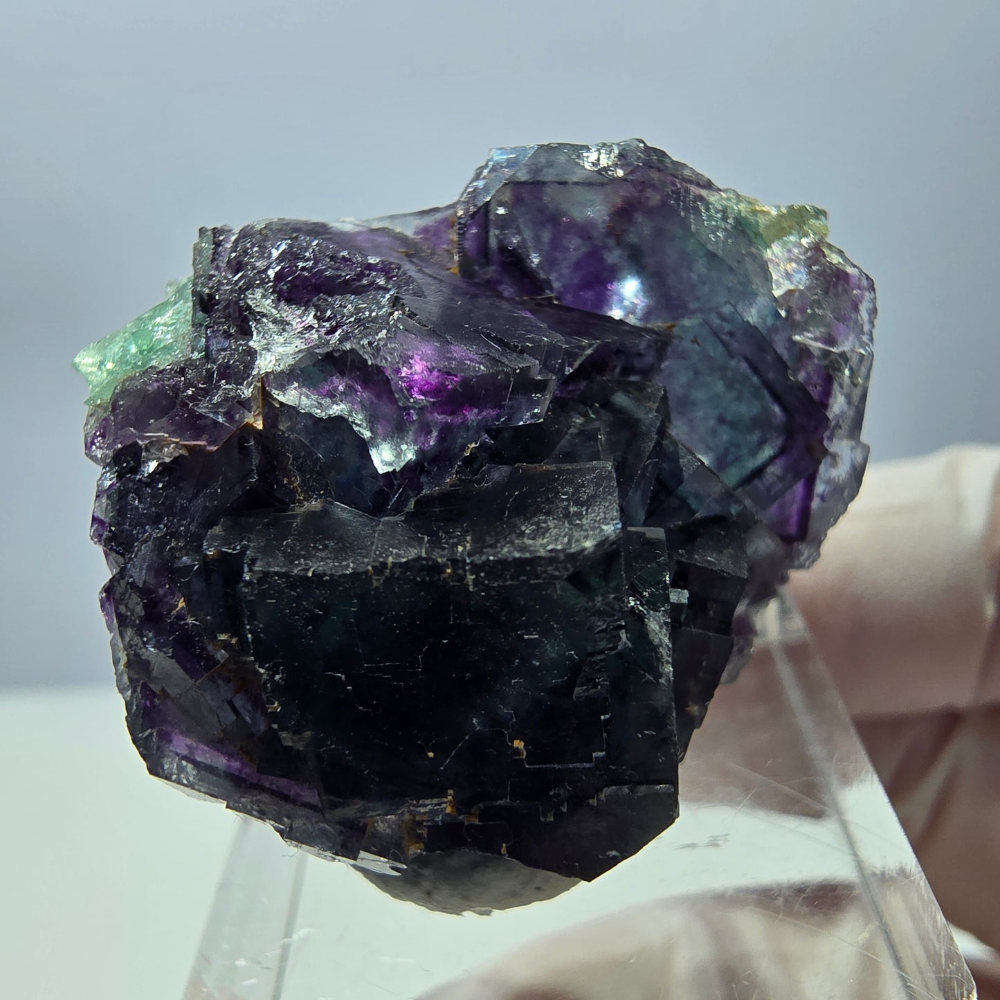 Seltene Fluorit Würfel Stufe, grün lila Okorusu, Namibia 31*27*19mm