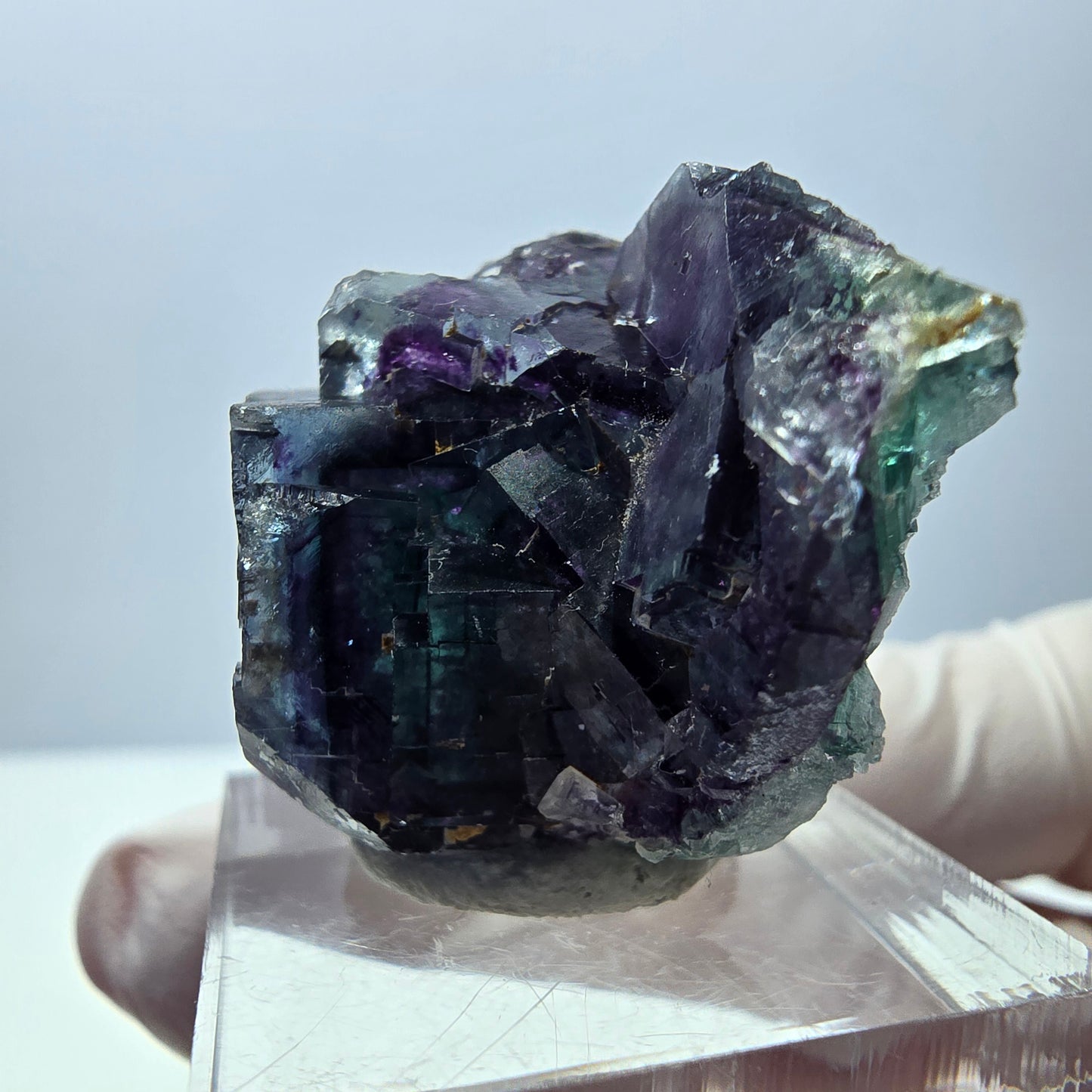 Seltene Fluorit Würfel Stufe, grün lila Okorusu, Namibia 31*27*19mm