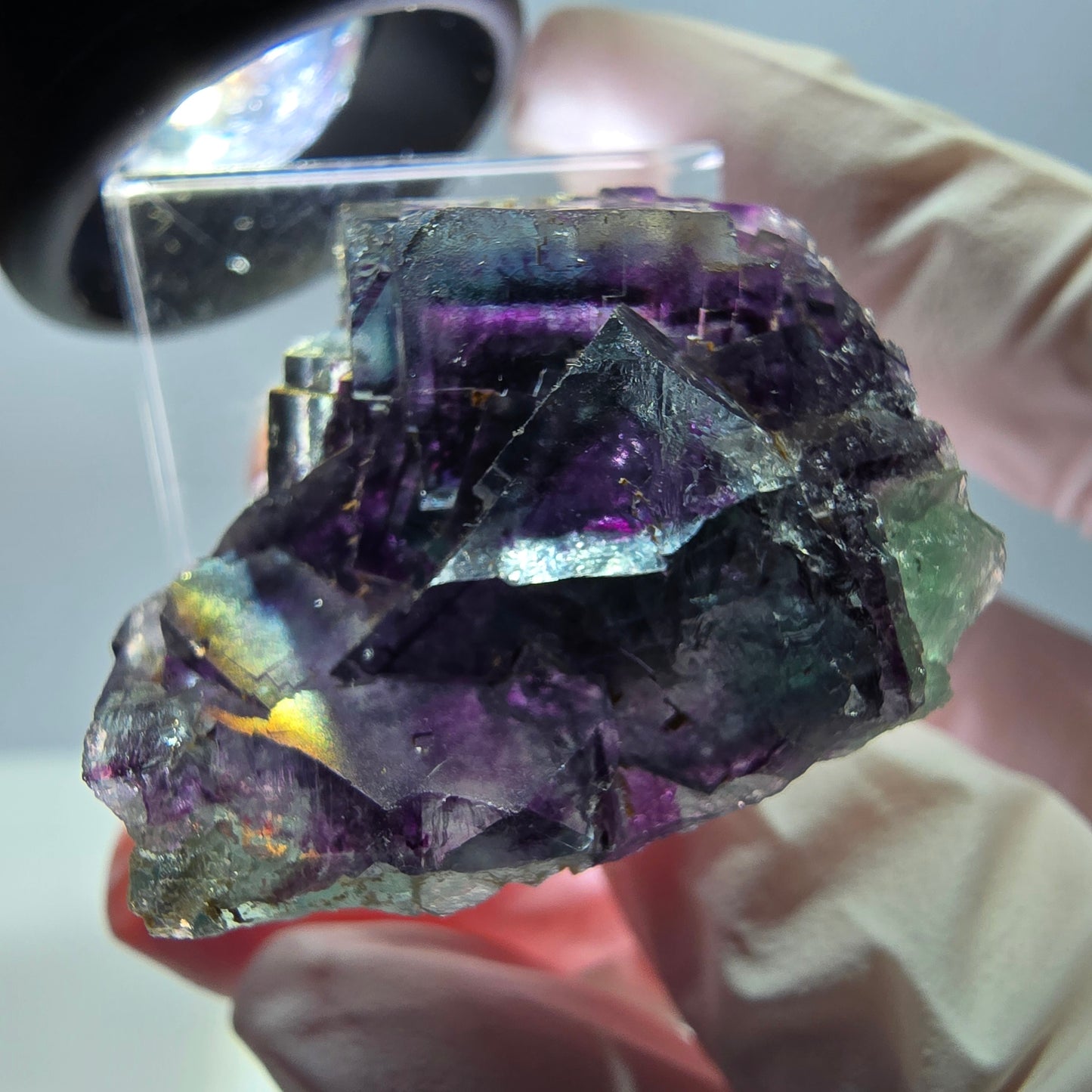 Seltene Fluorit Würfel Stufe, grün lila Okorusu, Namibia 31*27*19mm