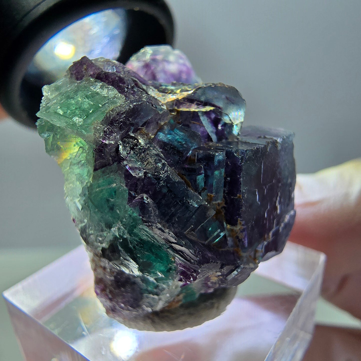 Seltene Fluorit Würfel Stufe, grün lila Okorusu, Namibia 31*27*19mm