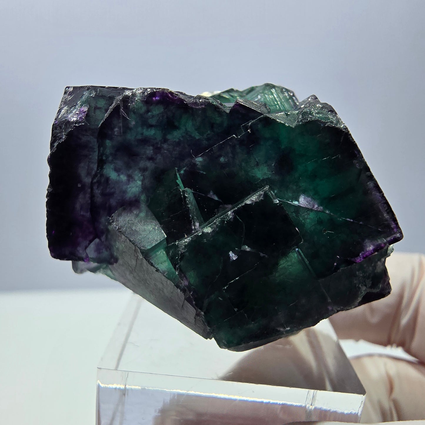 Seltene Fluorit Würfel Stufe, grün lila Okorusu, Namibia 41*32*26mm