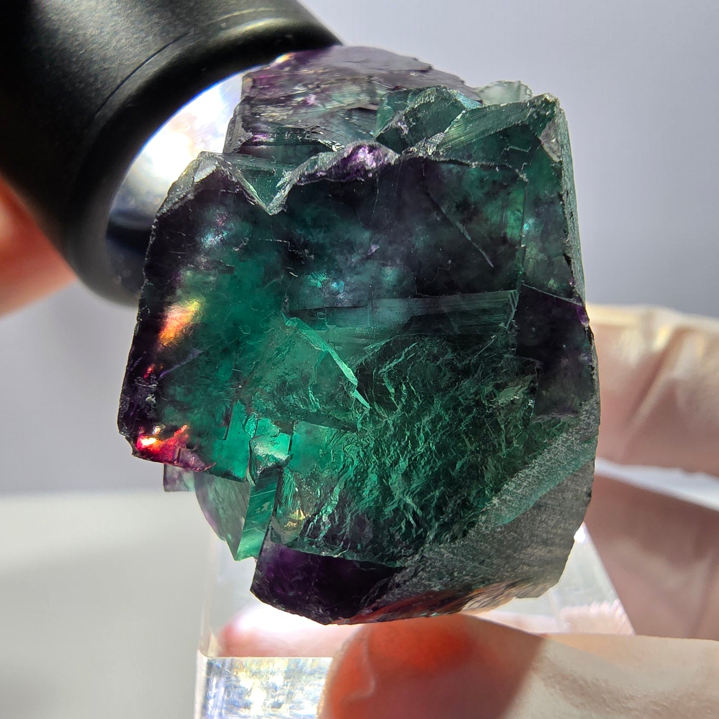 Seltene Fluorit Würfel Stufe, grün lila Okorusu, Namibia 41*32*26mm