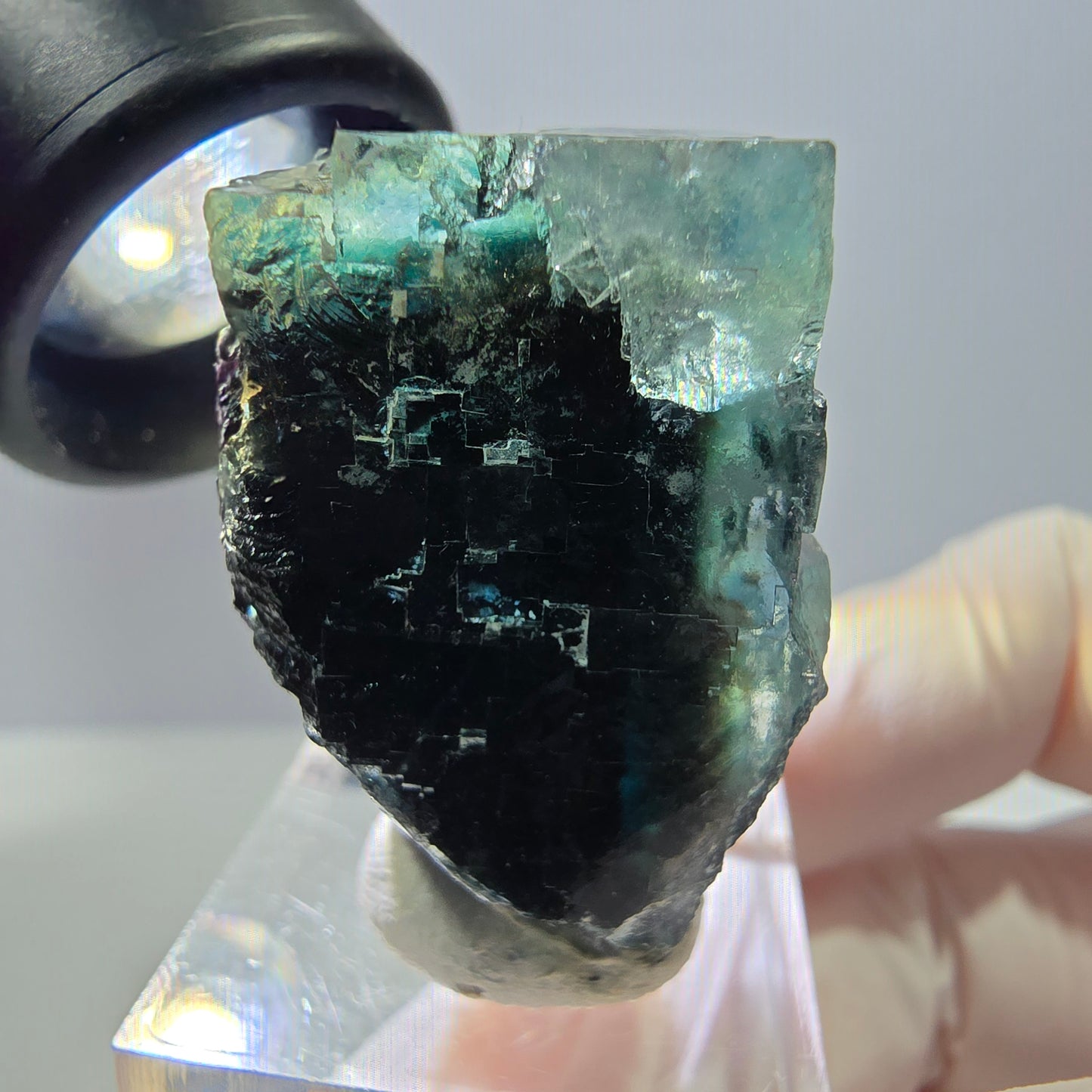 Seltene Fluorit Würfel Stufe, grün lila Okorusu, Namibia 37*34*21mm