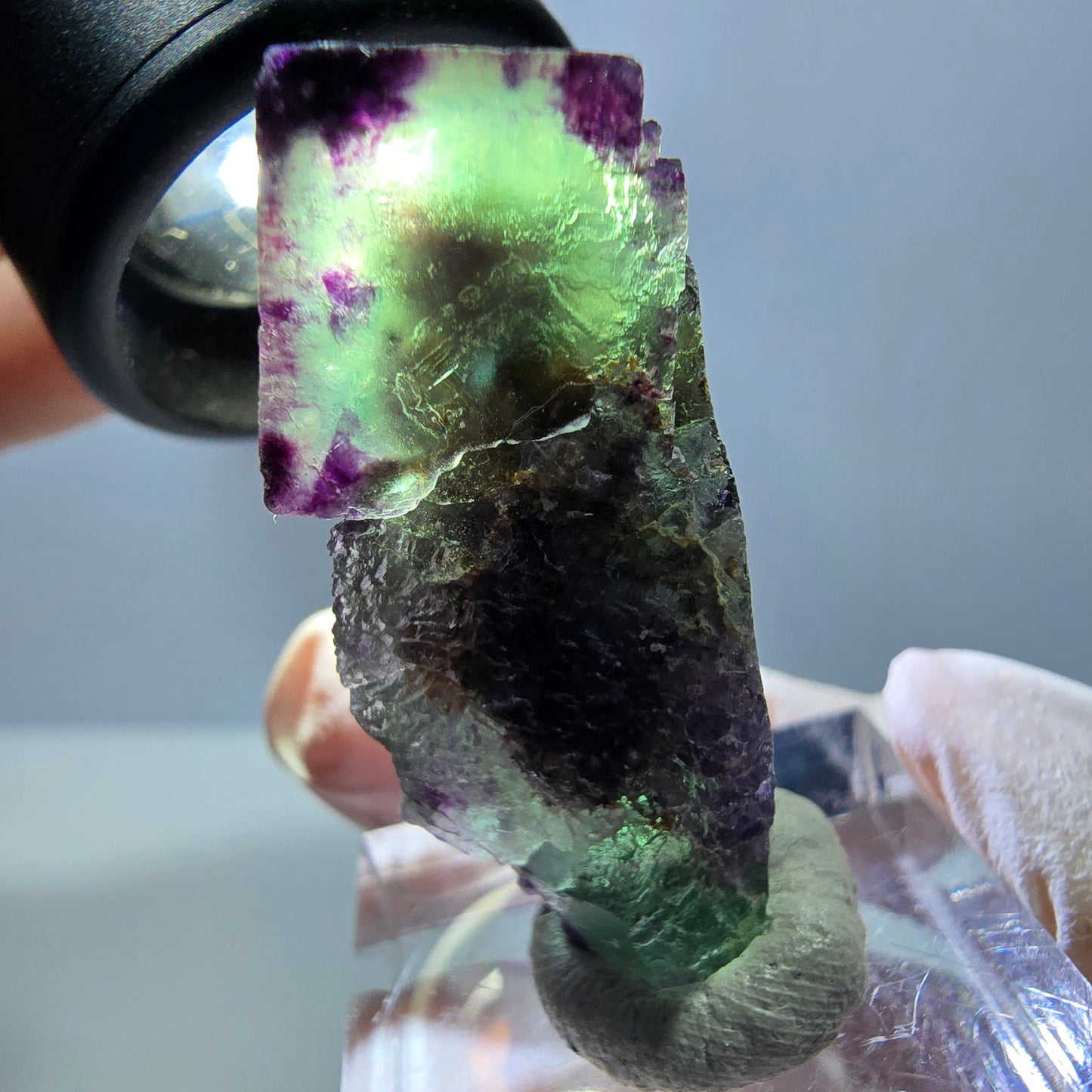 Phantom Fluorit Würfel Stufe, parkettiert, zonal Okorusu, Namibia 38*21*15mm