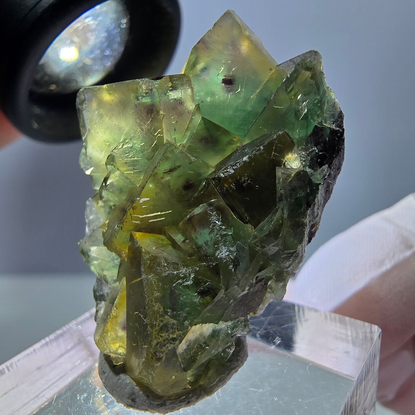 Phantom Fluorit Würfel Stufe, grün lila Okorusu, Namibia 31*24*11mm