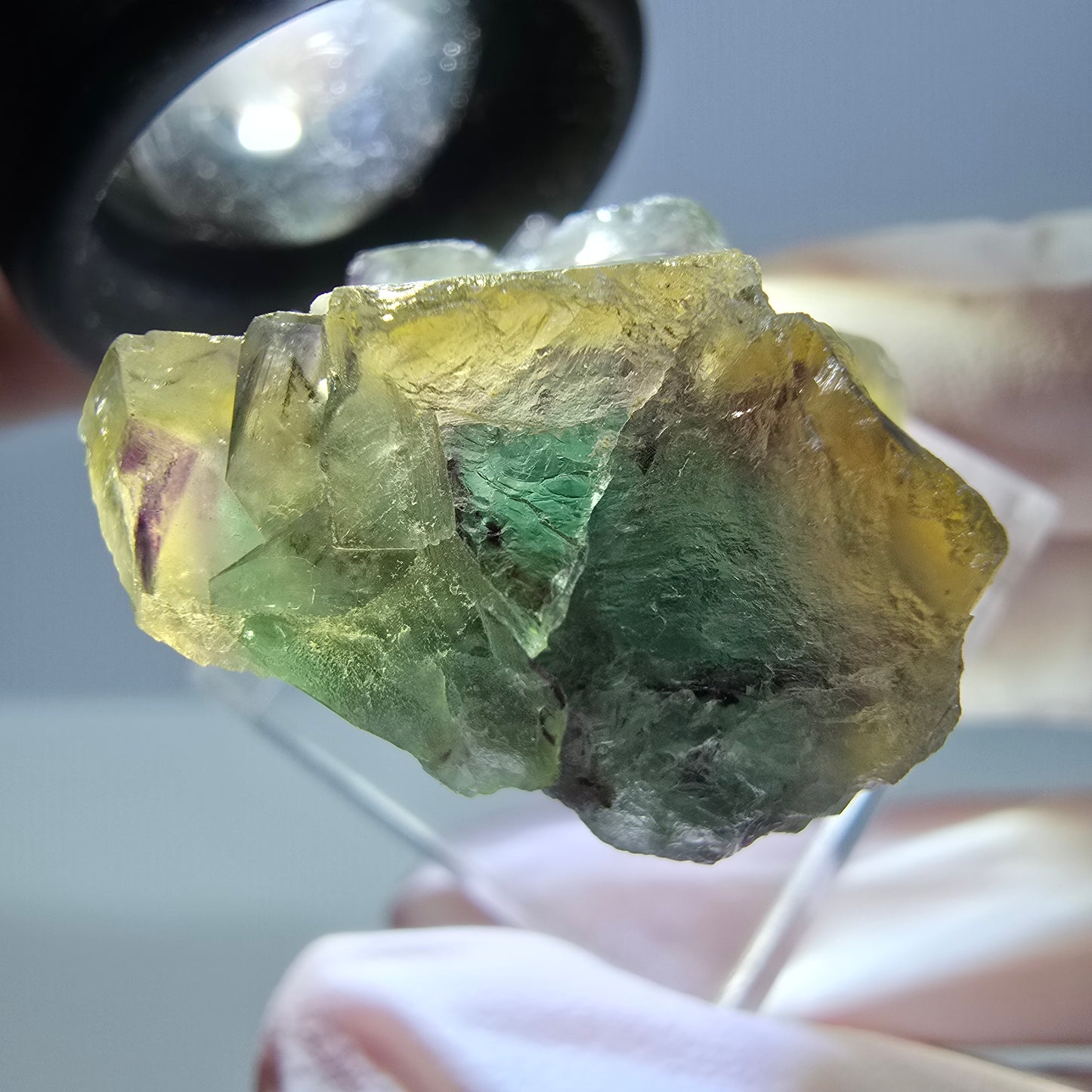 Phantom Fluorit Würfel Stufe, grün gelb lila Okorusu, Namibia 31*21*14mm