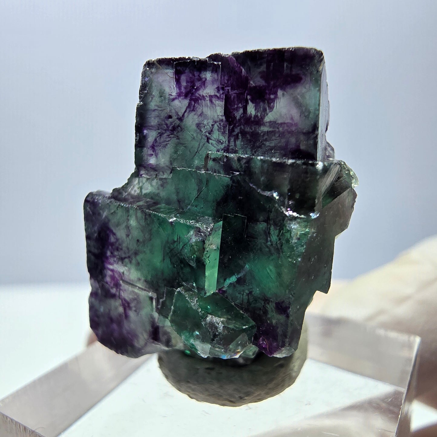 Phantom Fluorit Würfel Stufe, parkettiert grün lila Okorusu, Namibia 26*18*13mm