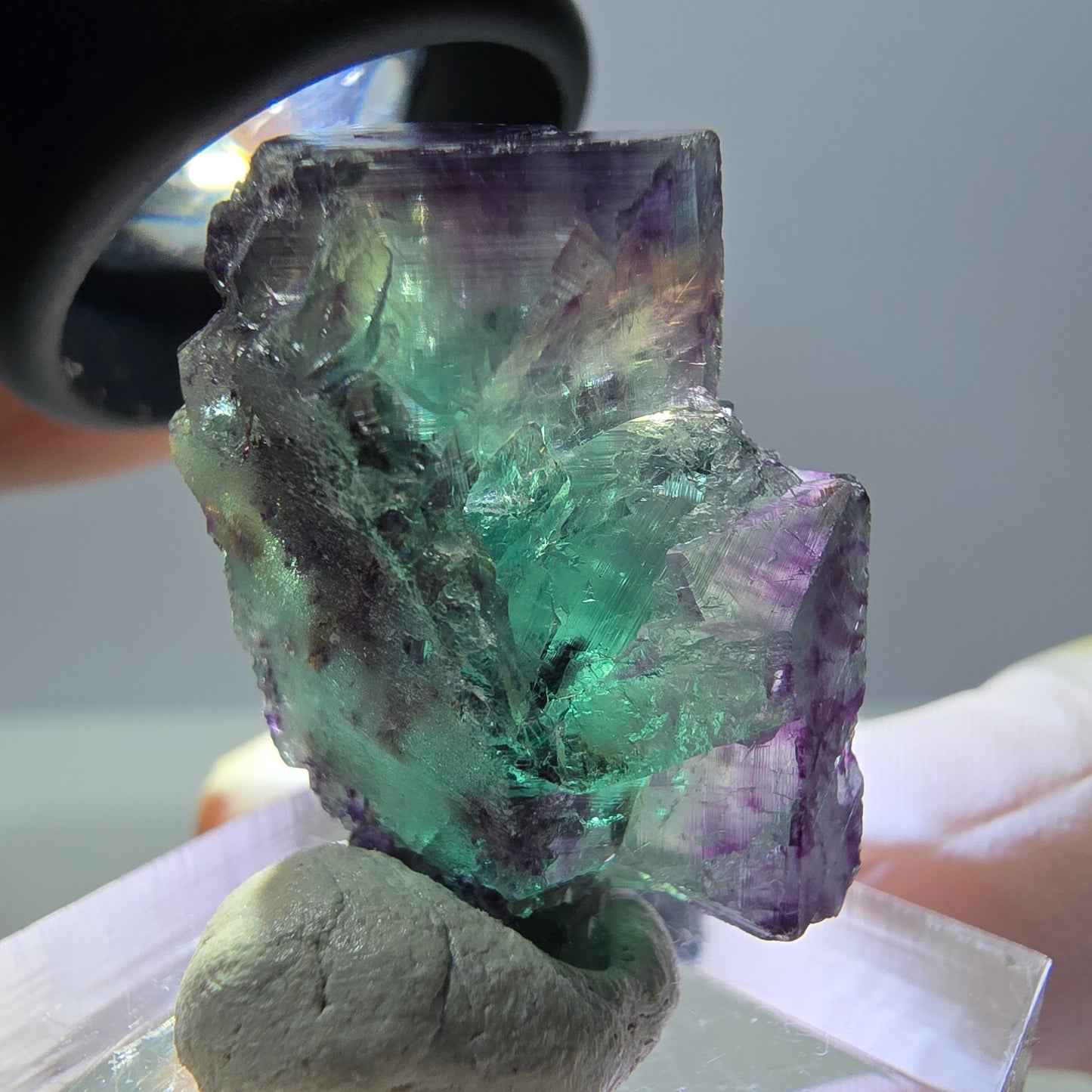 Phantom Fluorit Würfel Stufe, parkettiert grün lila Okorusu, Namibia 26*18*13mm