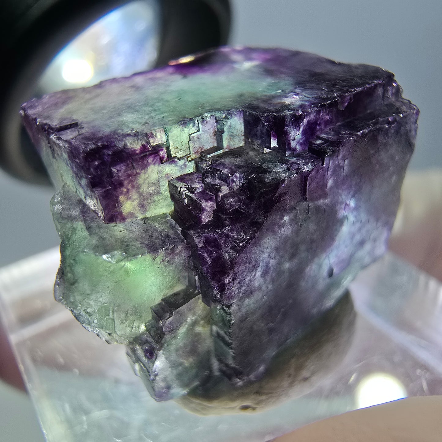 Phantom Fluorit Würfel Stufe, grün lila Okorusu, Namibia 21*20*12mm