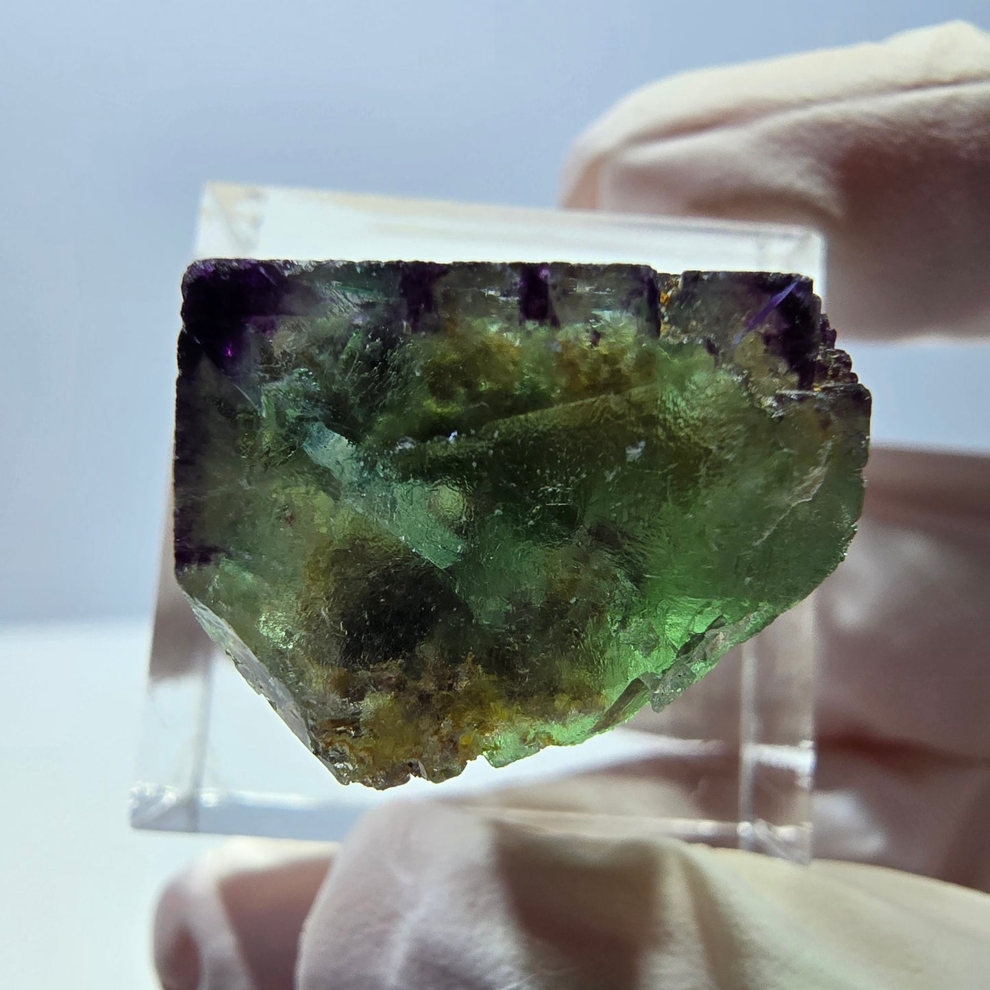 Phantom Fluorit Würfel Stufe, parkettiert, zonal Okorusu, Namibia 19*17*14mm