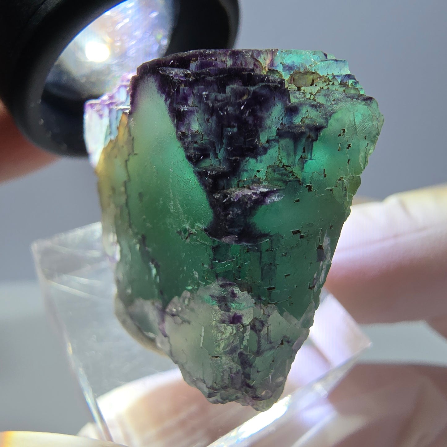 Phantom Fluorit Würfel Stufe, parkettiert, zonal Okorusu, Namibia 28*27*23mm