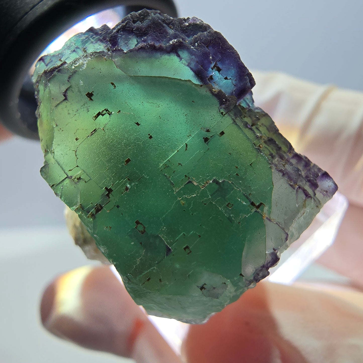 Phantom Fluorit Würfel Stufe, parkettiert, zonal Okorusu, Namibia 28*27*23mm