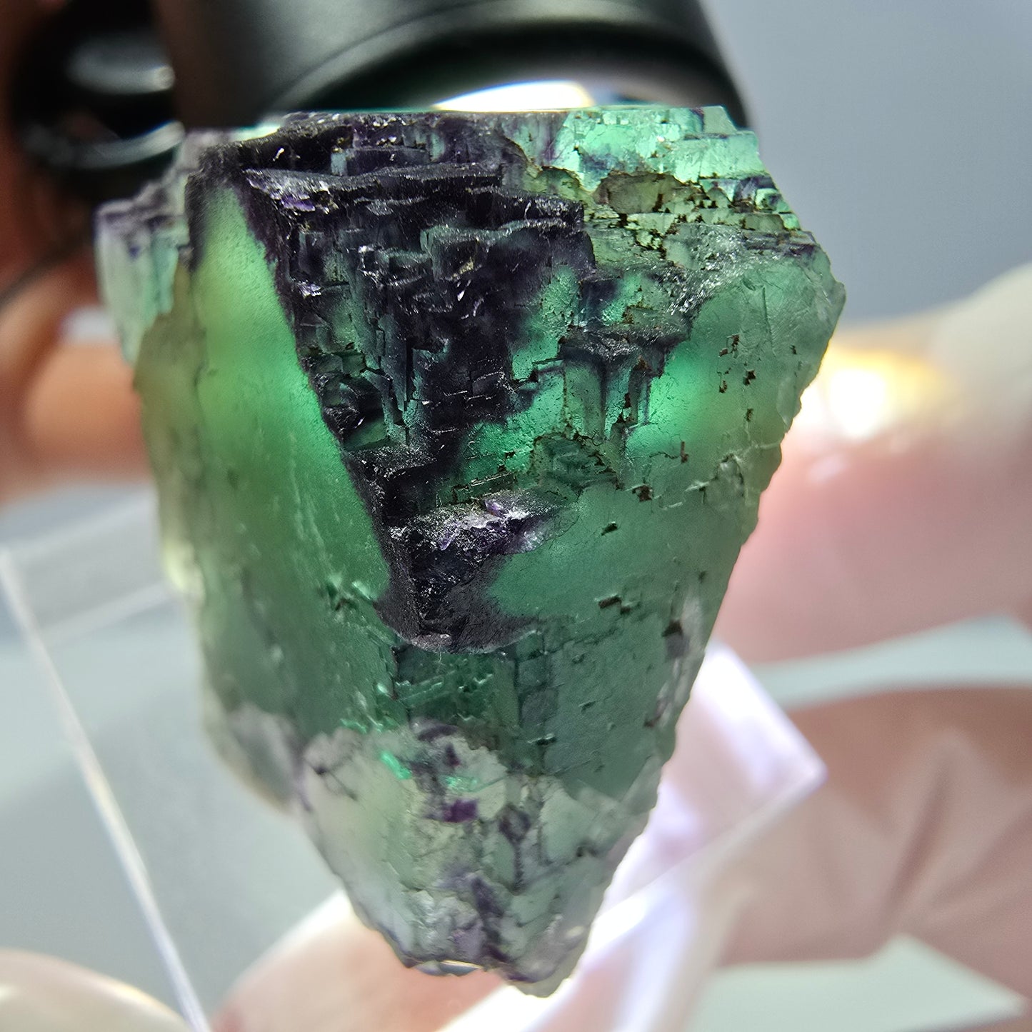Phantom Fluorit Würfel Stufe, parkettiert, zonal Okorusu, Namibia 28*27*23mm