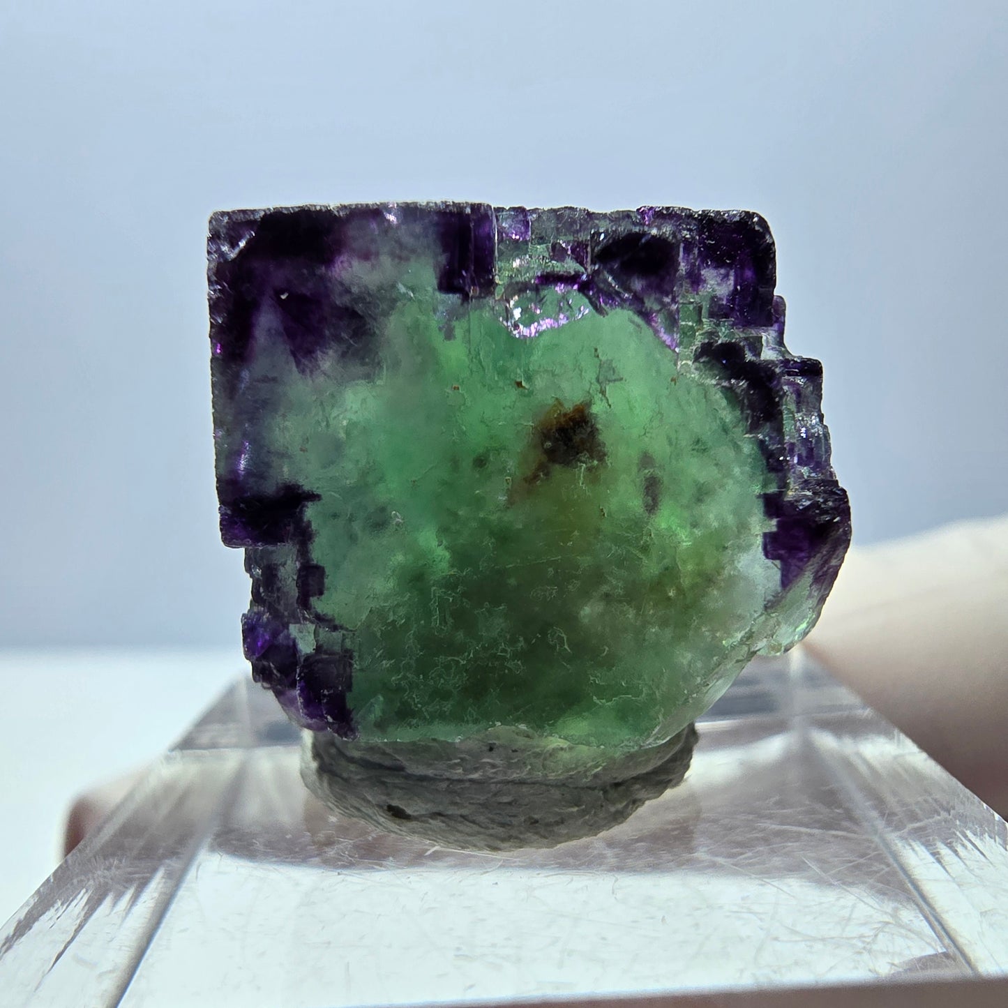 Phantom Fluorit Würfel Stufe, parkettiert, zonal Okorusu, Namibia 18*18*18mm