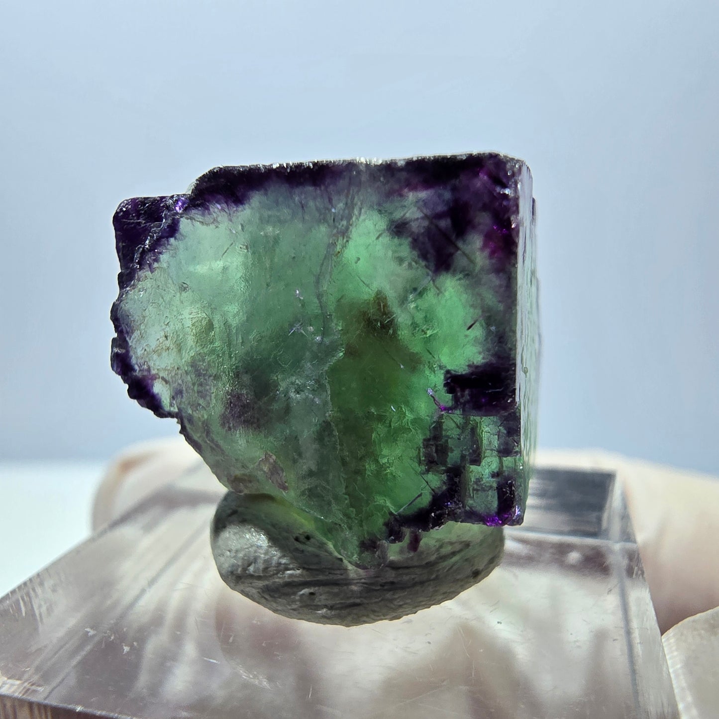 Phantom Fluorit Würfel Stufe, parkettiert, zonal Okorusu, Namibia 18*18*18mm