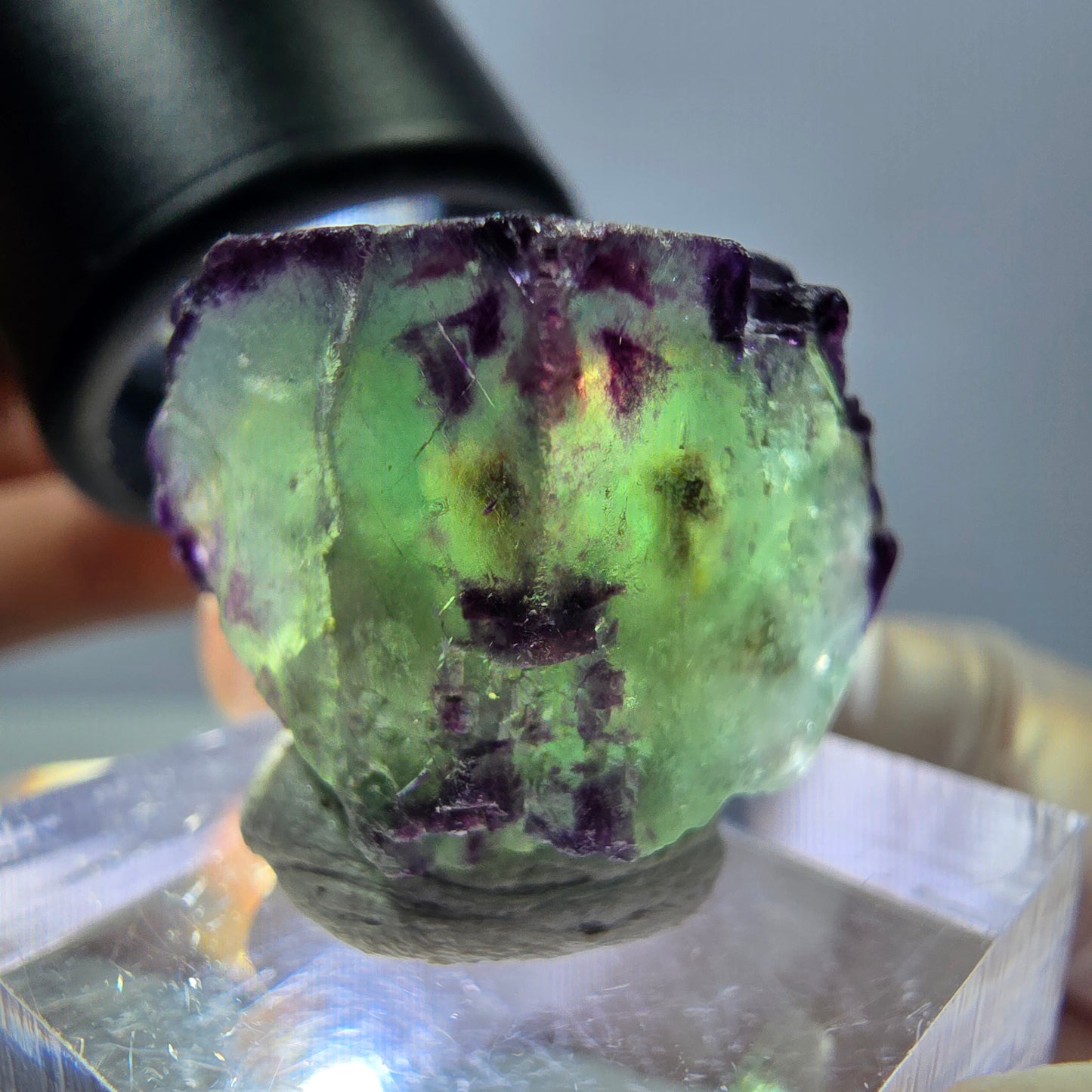 Phantom Fluorit Würfel Stufe, parkettiert, zonal Okorusu, Namibia 18*18*18mm