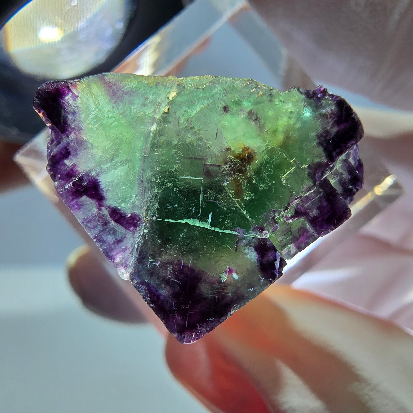 Phantom Fluorit Würfel Stufe, parkettiert, zonal Okorusu, Namibia 18*18*18mm