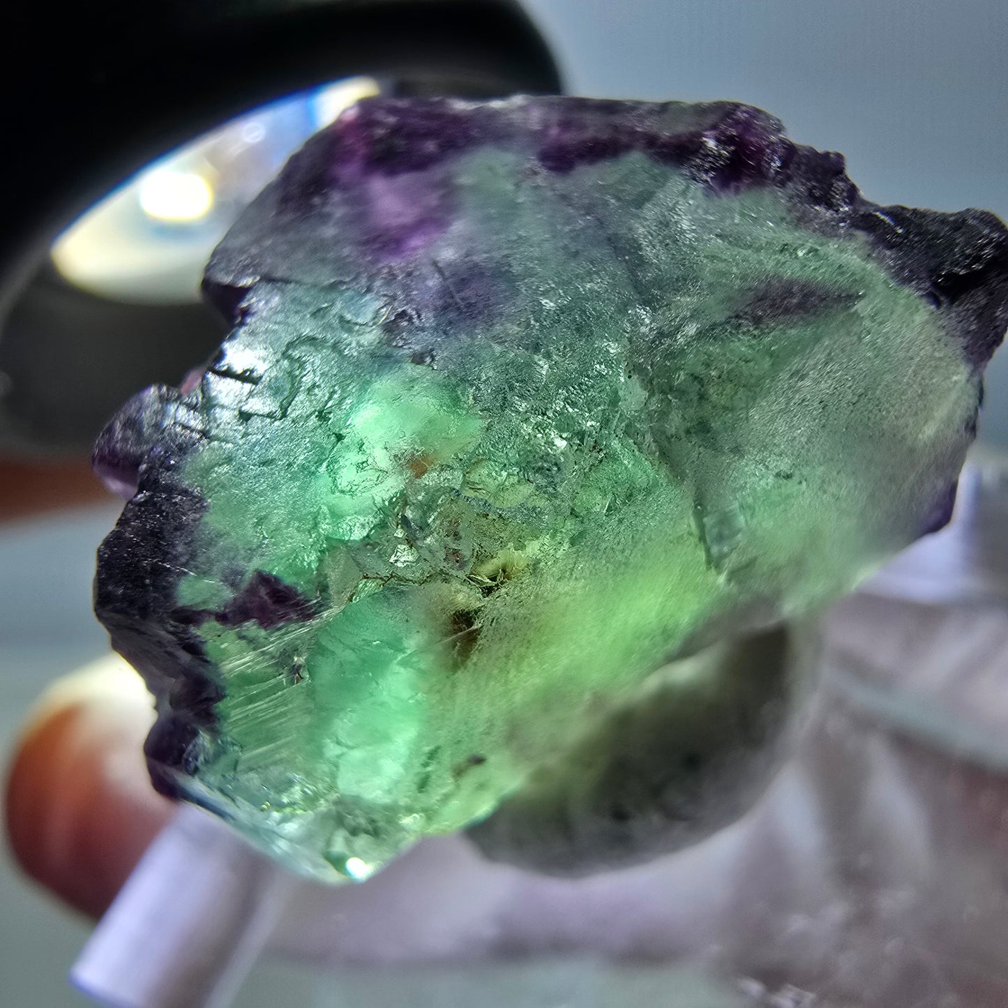 Phantom Fluorit Würfel Stufe, parkettiert, zonal Okorusu, Namibia 18*18*18mm