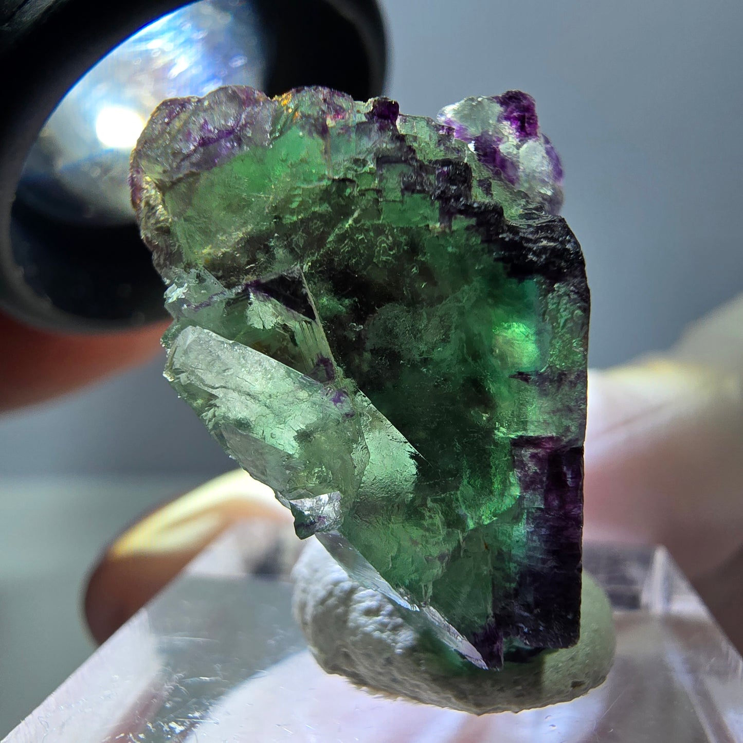 Phantom Fluorit Würfel Stufe, parkettiert, zonal Okorusu, Namibia 24*22*18mm