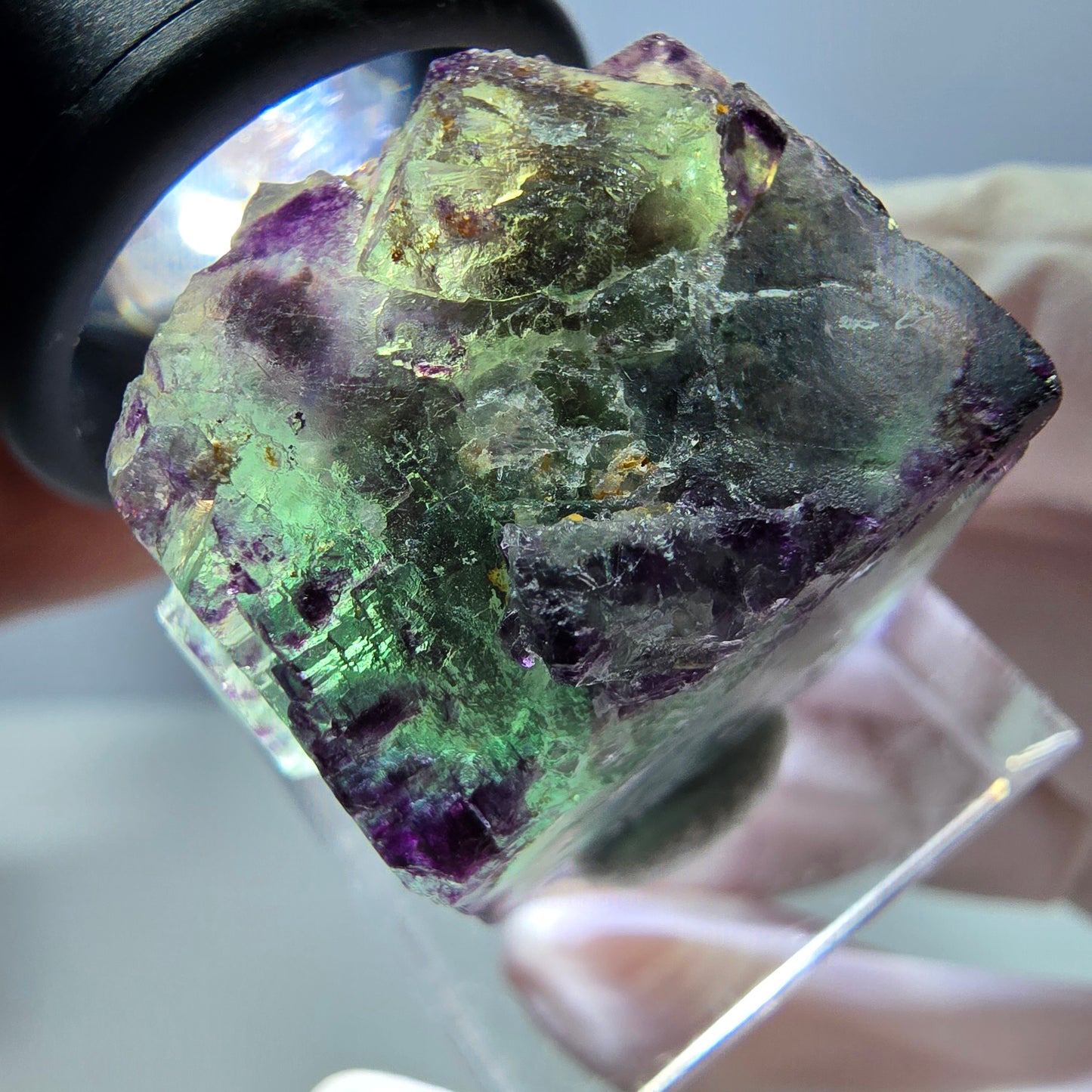 Phantom Fluorit Würfel Stufe, parkettiert, zonal Okorusu, Namibia 24*22*18mm