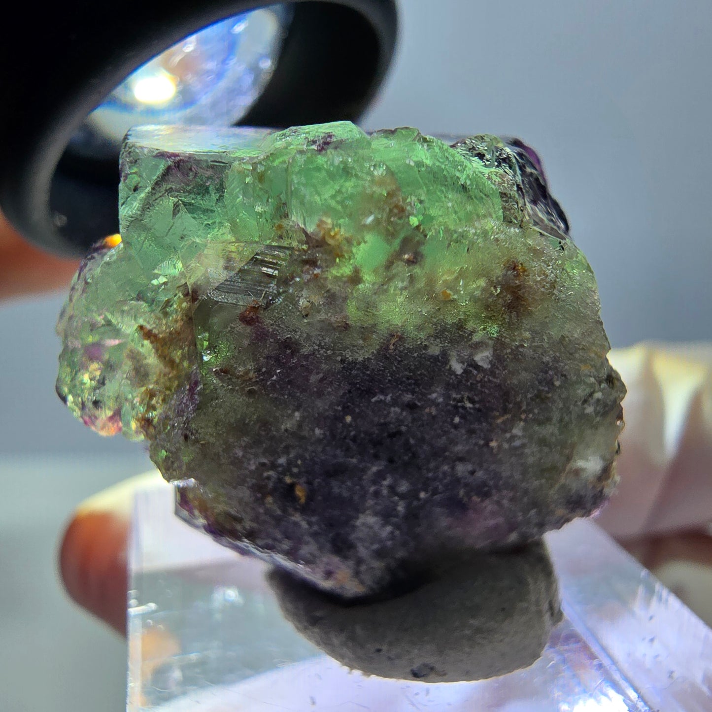Phantom Fluorit Würfel Stufe, parkettiert, zonal Okorusu, Namibia 27*24*14mm
