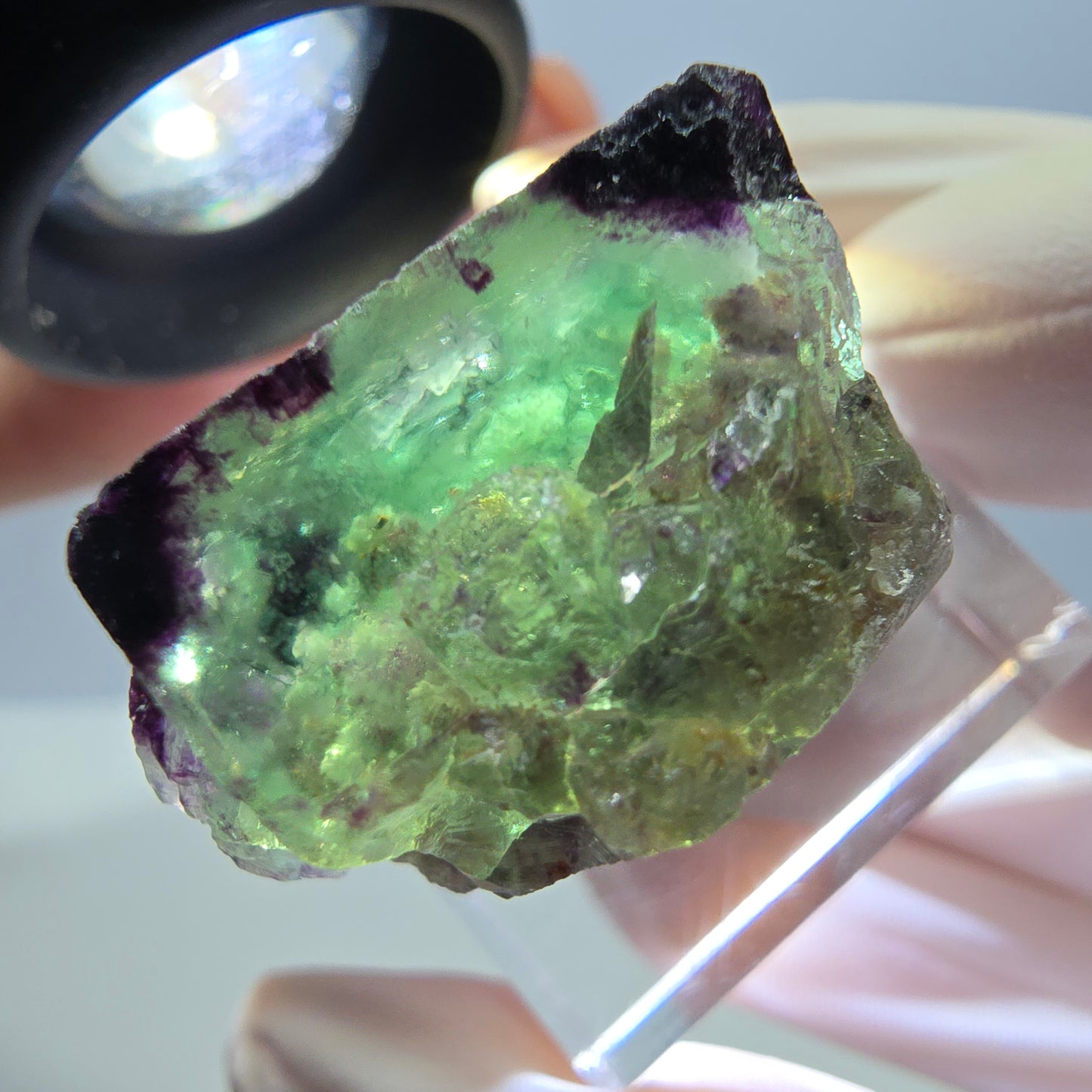 Phantom Fluorit Würfel Stufe, parkettiert, zonal Okorusu, Namibia 27*24*14mm