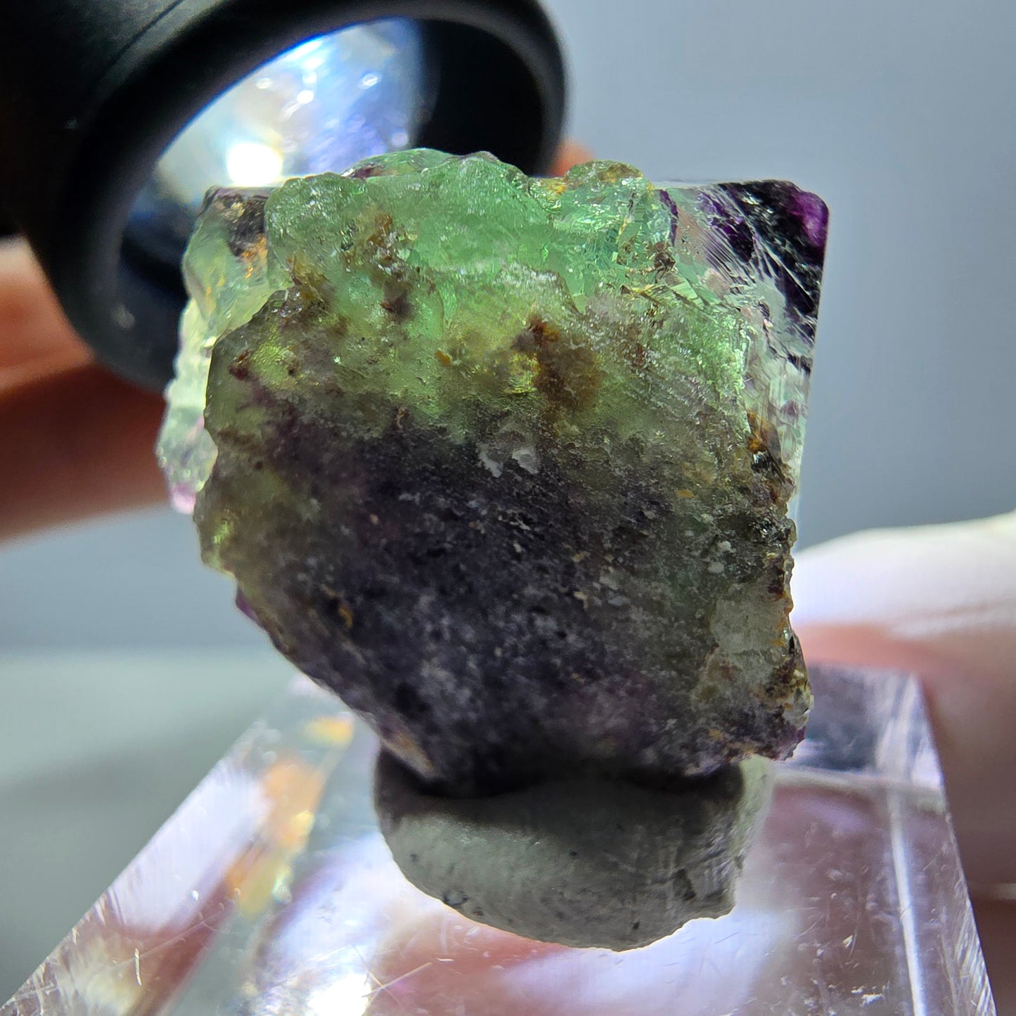 Phantom Fluorit Würfel Stufe, parkettiert, zonal Okorusu, Namibia 27*24*14mm