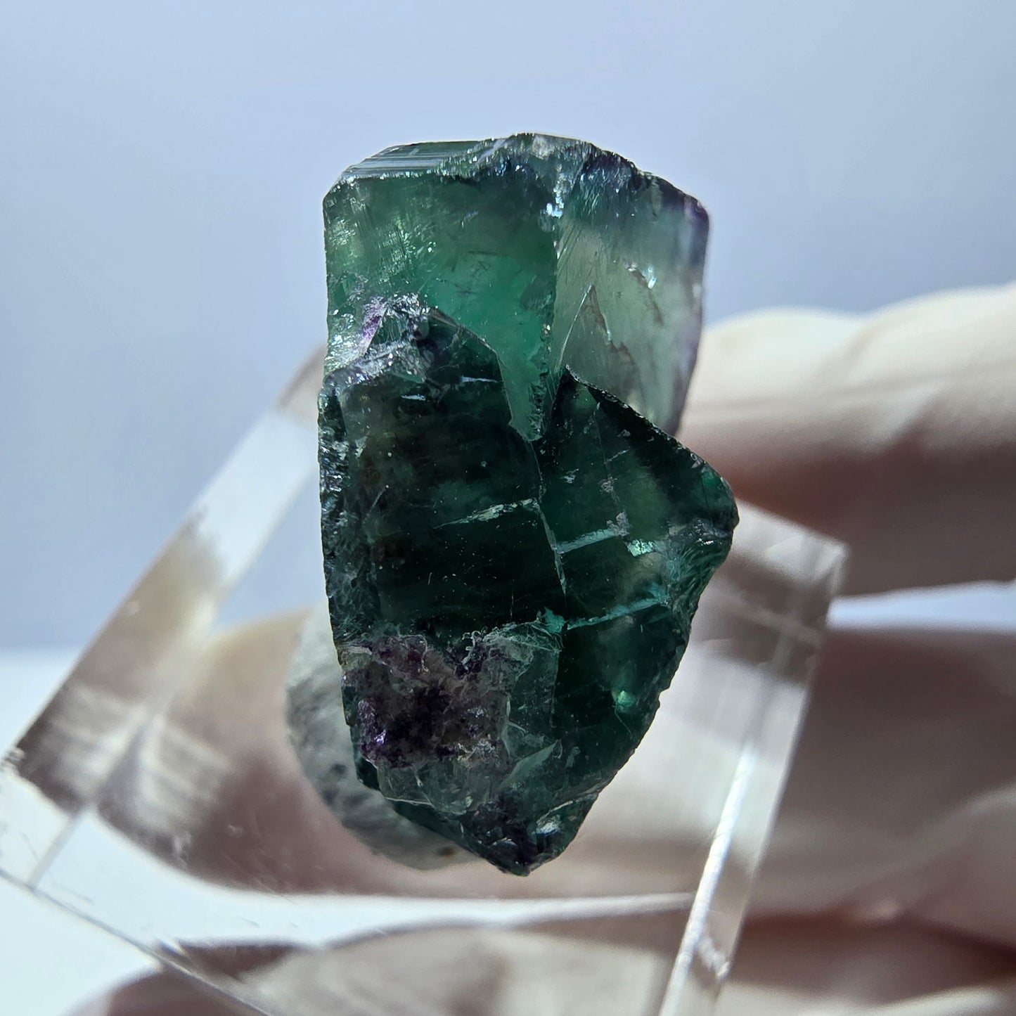 Phantom Fluorit Würfel Stufe, parkettiert grün lila Okorusu, Namibia 24*22*14mm