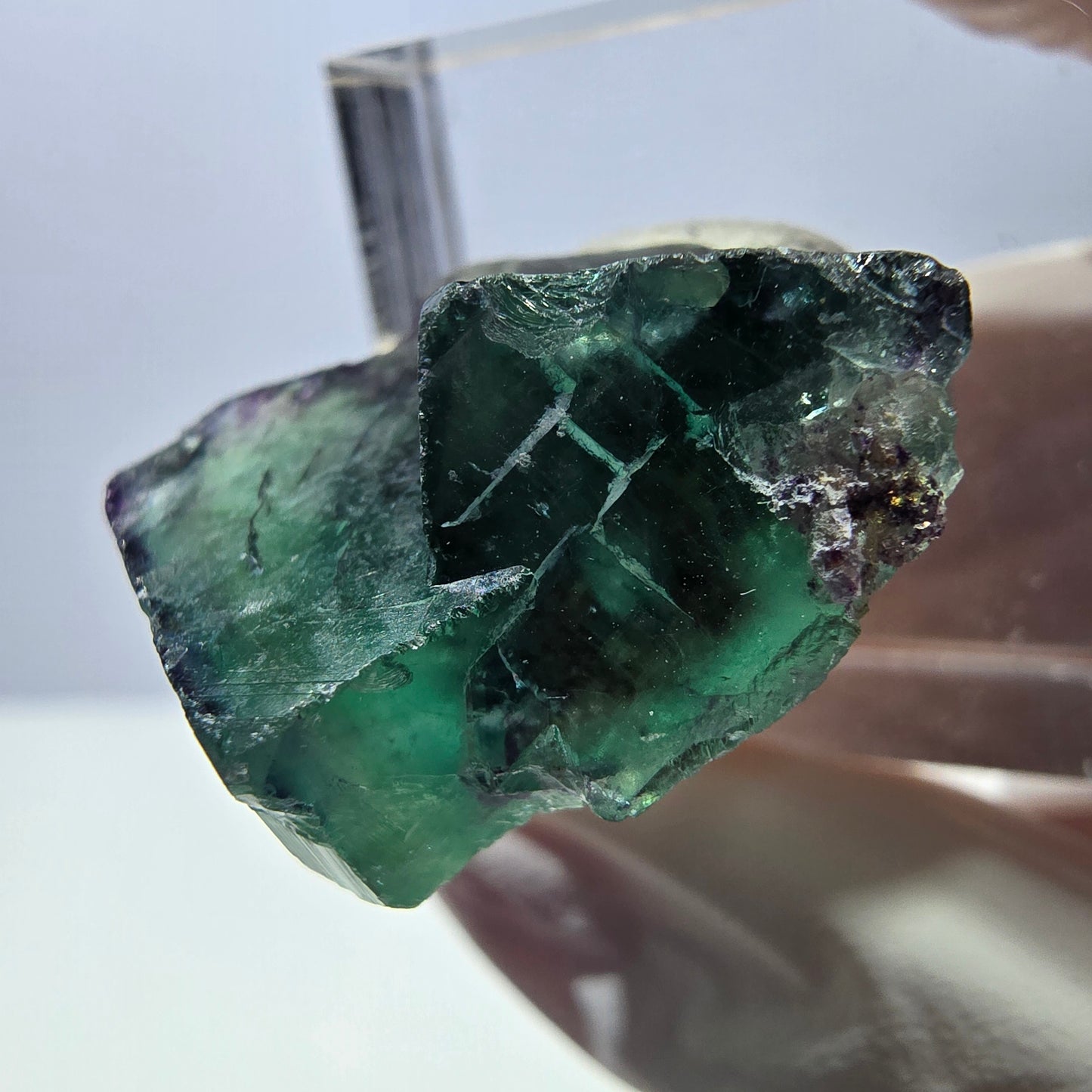 Phantom Fluorit Würfel Stufe, parkettiert grün lila Okorusu, Namibia 24*22*14mm
