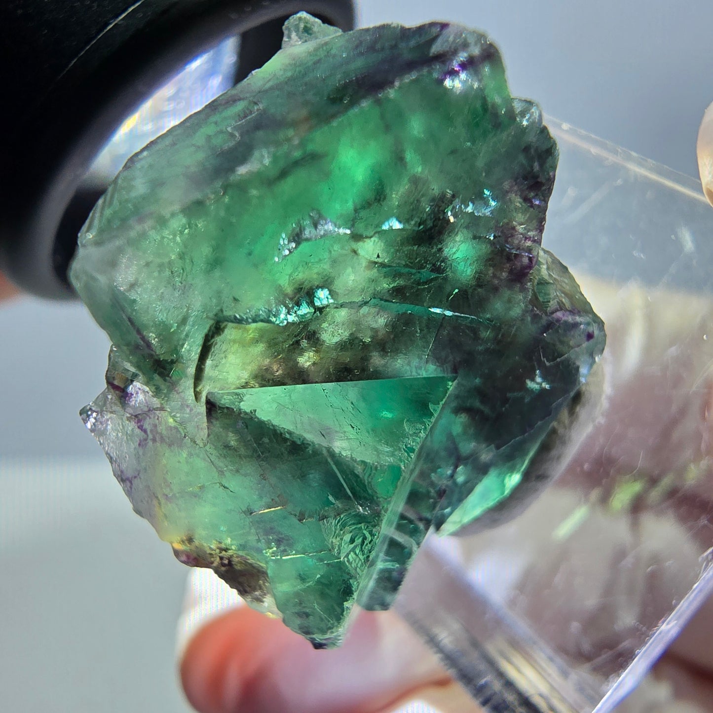 Phantom Fluorit Würfel Stufe, parkettiert grün lila Okorusu, Namibia 24*22*14mm