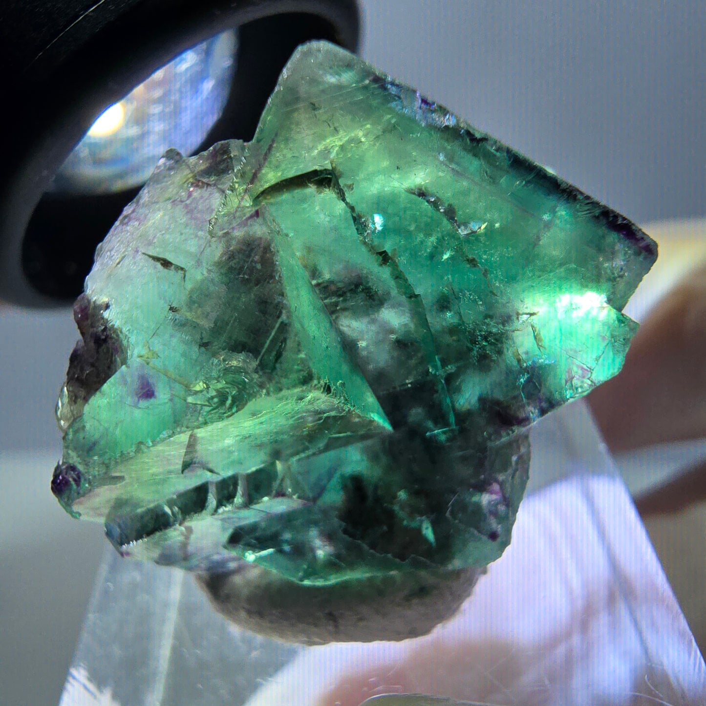 Phantom Fluorit Würfel Stufe, parkettiert grün lila Okorusu, Namibia 24*22*14mm