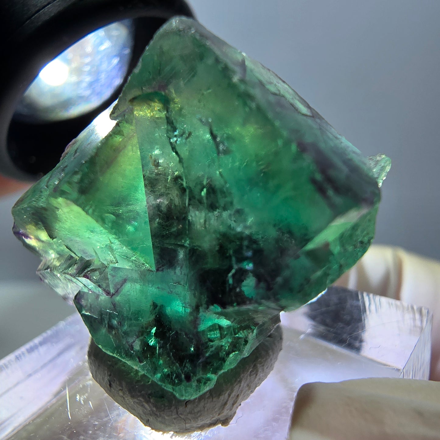 Phantom Fluorit Würfel Stufe, parkettiert grün lila Okorusu, Namibia 24*22*14mm