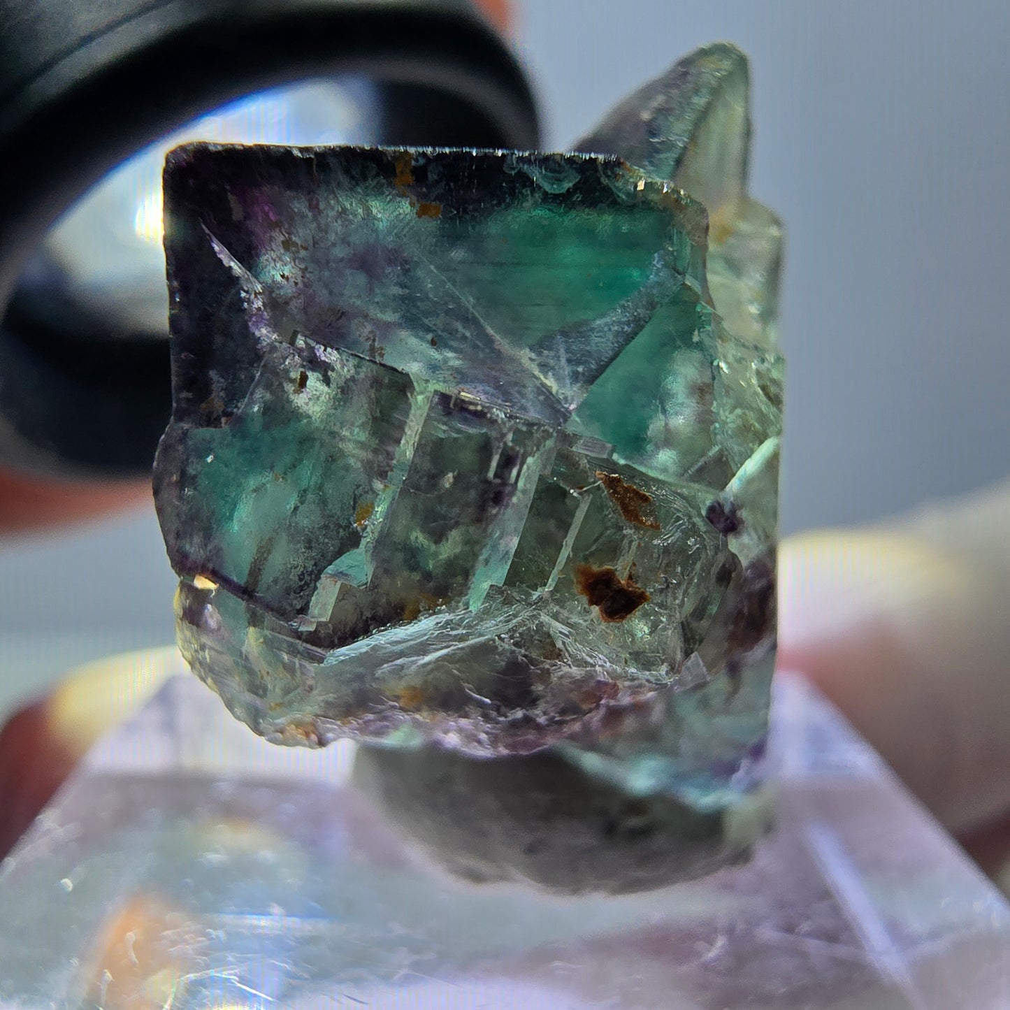 Phantom Fluorit Würfel Stufe, parkettiert, zonal Okorusu, Namibia 23*22*20mm