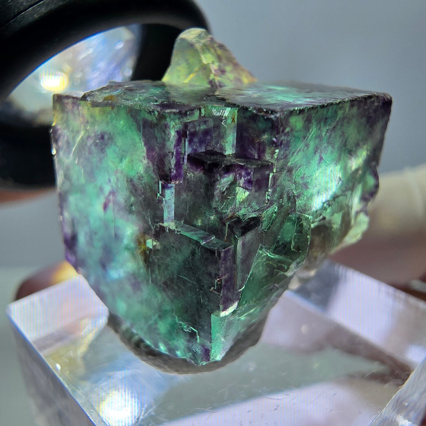 Phantom Fluorit Würfel Stufe, parkettiert, zonal Okorusu, Namibia 23*22*20mm