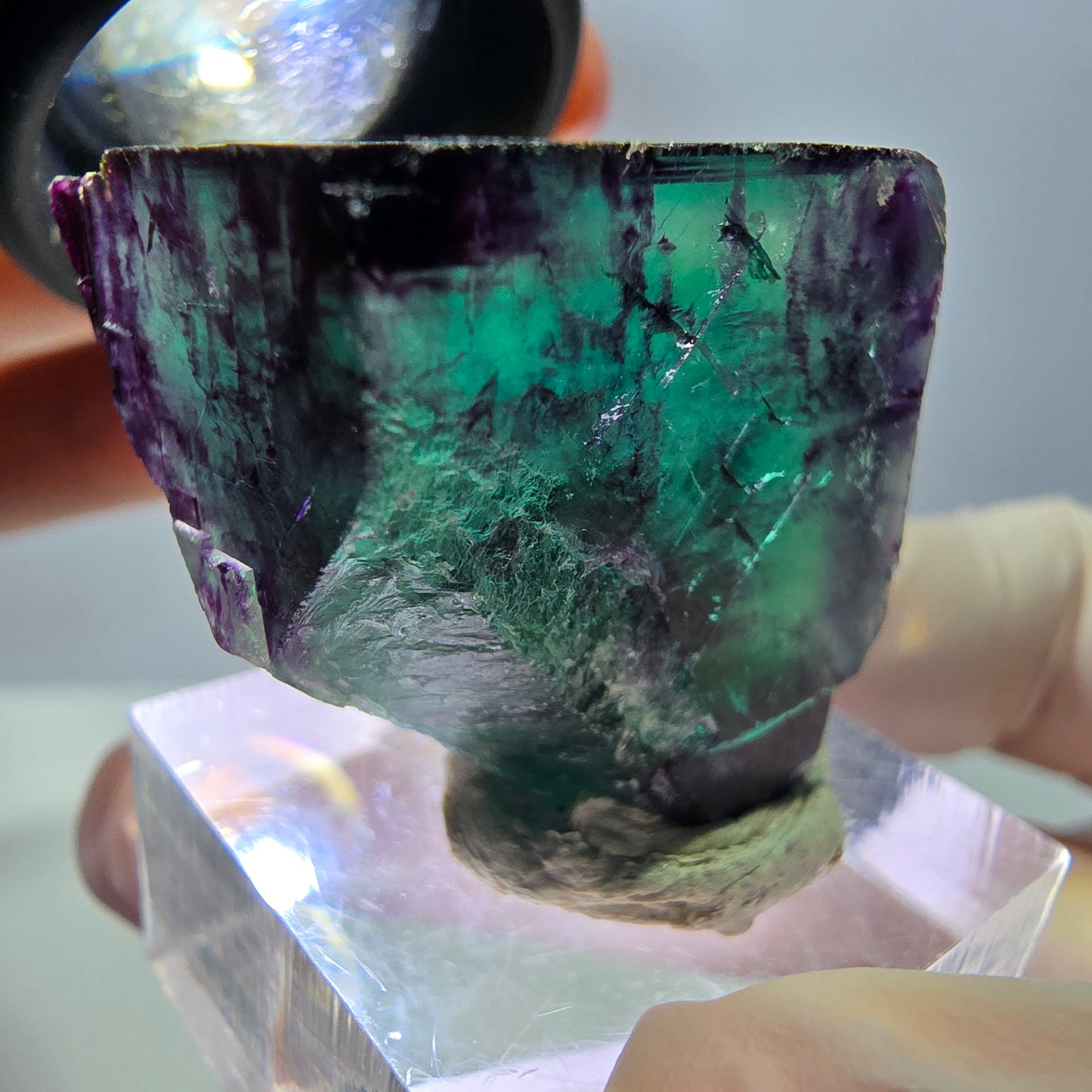Phantom Fluorit Würfel Stufe, parkettiert grün lila Okorusu, Namibia 29*27*25mm