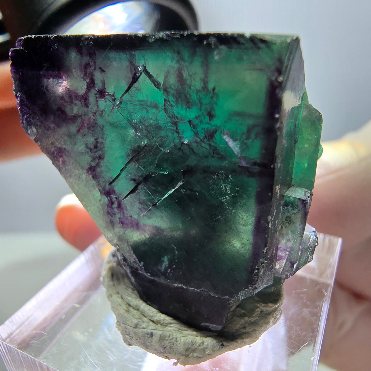 Phantom Fluorit Würfel Stufe, parkettiert grün lila Okorusu, Namibia 29*27*25mm