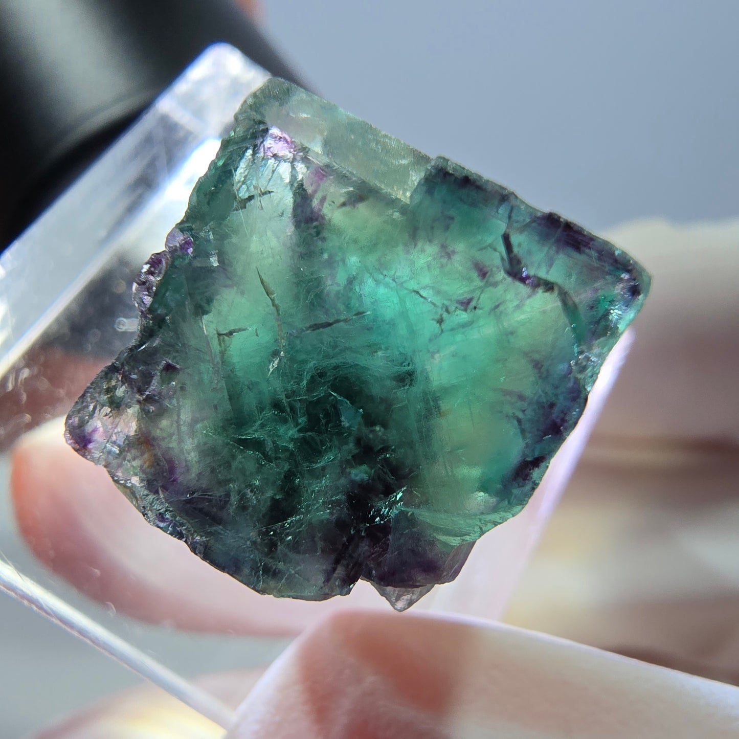 Phantom Fluorit Würfel Stufe, parkettiert grün lila Okorusu, Namibia 14*13*13mm