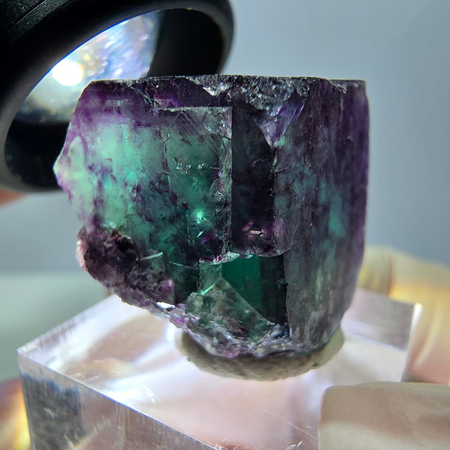 Phantom Fluorit Würfel Stufe, parkettiert grün lila Okorusu, Namibia 22*21*20mm