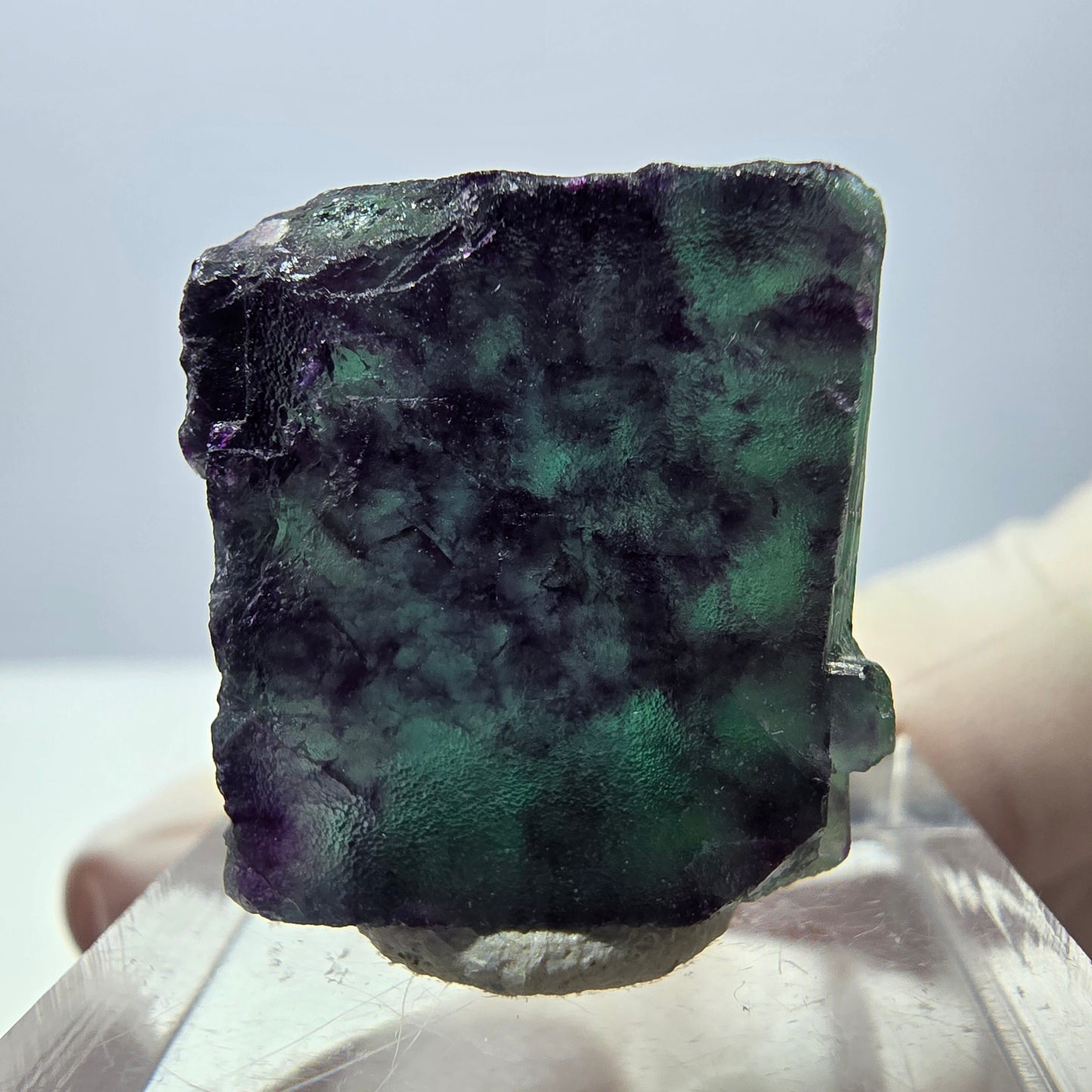 Phantom Fluorit Würfel Stufe, parkettiert grün lila Okorusu, Namibia 21*19*14mm