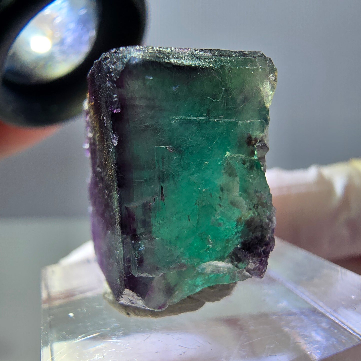 Phantom Fluorit Würfel Stufe, parkettiert grün lila Okorusu, Namibia 21*19*14mm